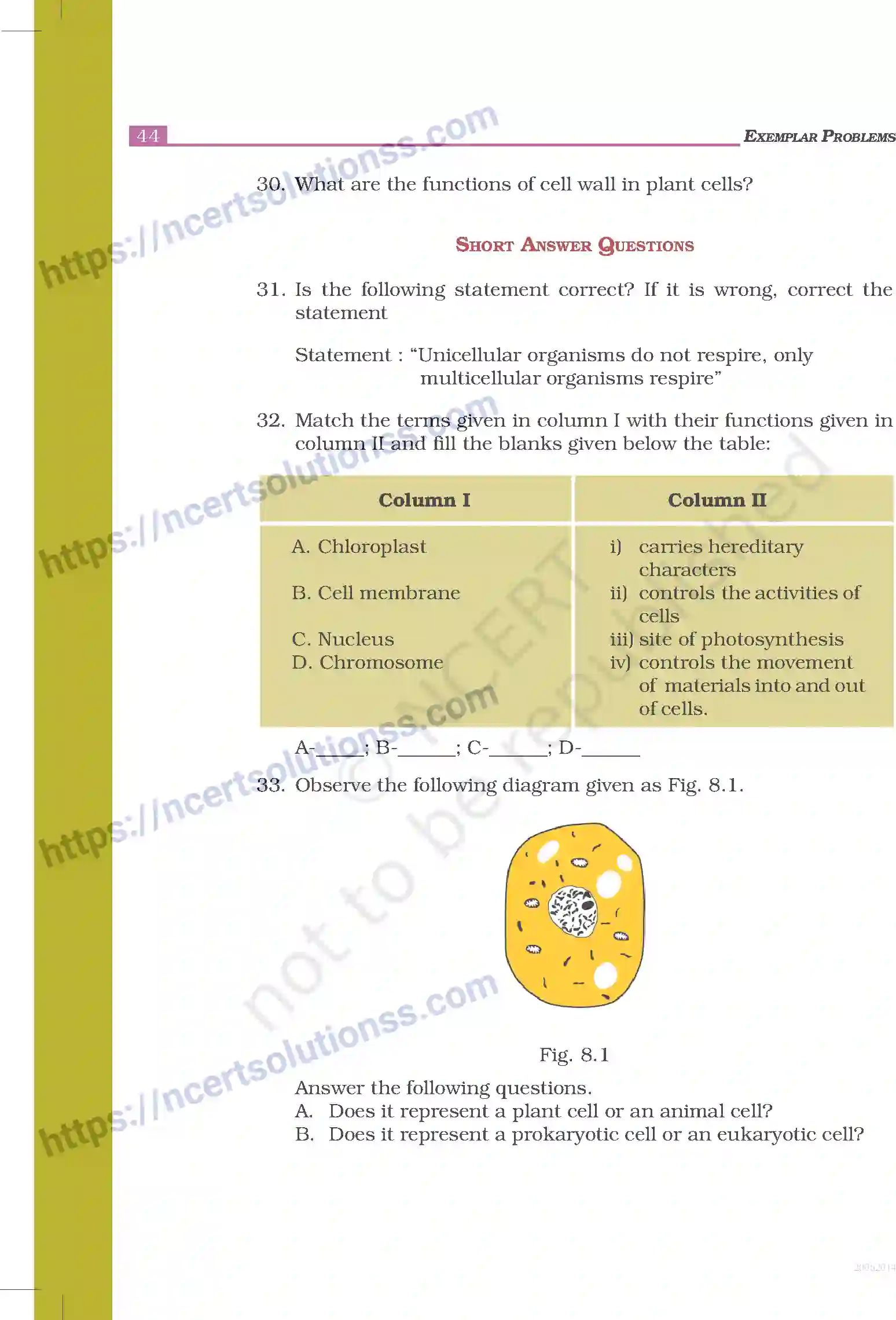 NCERT-Exemplar-Questions-Class-8-Science--Cell---Structure-and-Functions-237-page-5