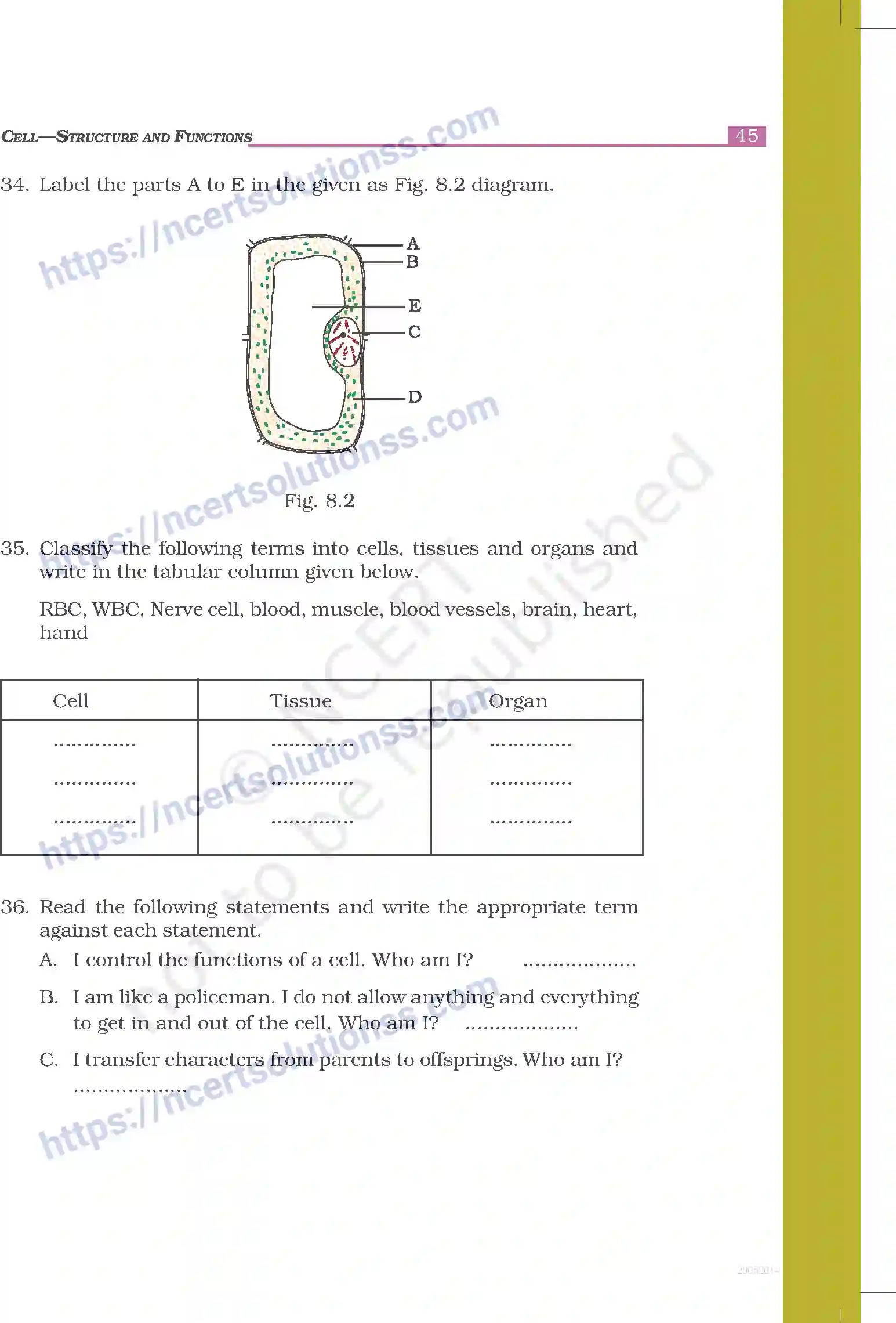 NCERT-Exemplar-Questions-Class-8-Science--Cell---Structure-and-Functions-237-page-6