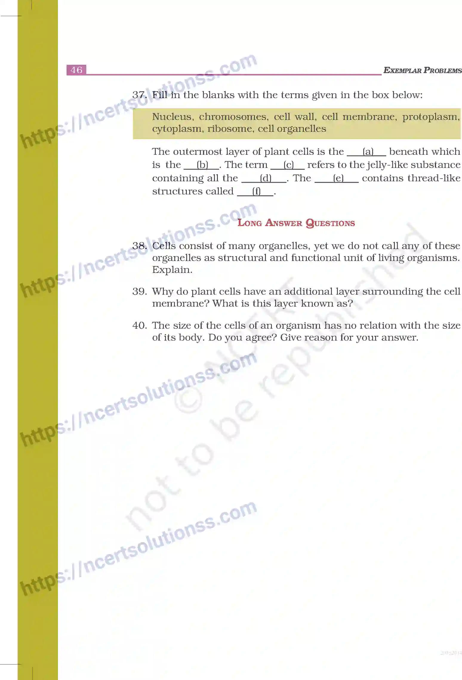 NCERT-Exemplar-Questions-Class-8-Science--Cell---Structure-and-Functions-237-page-7