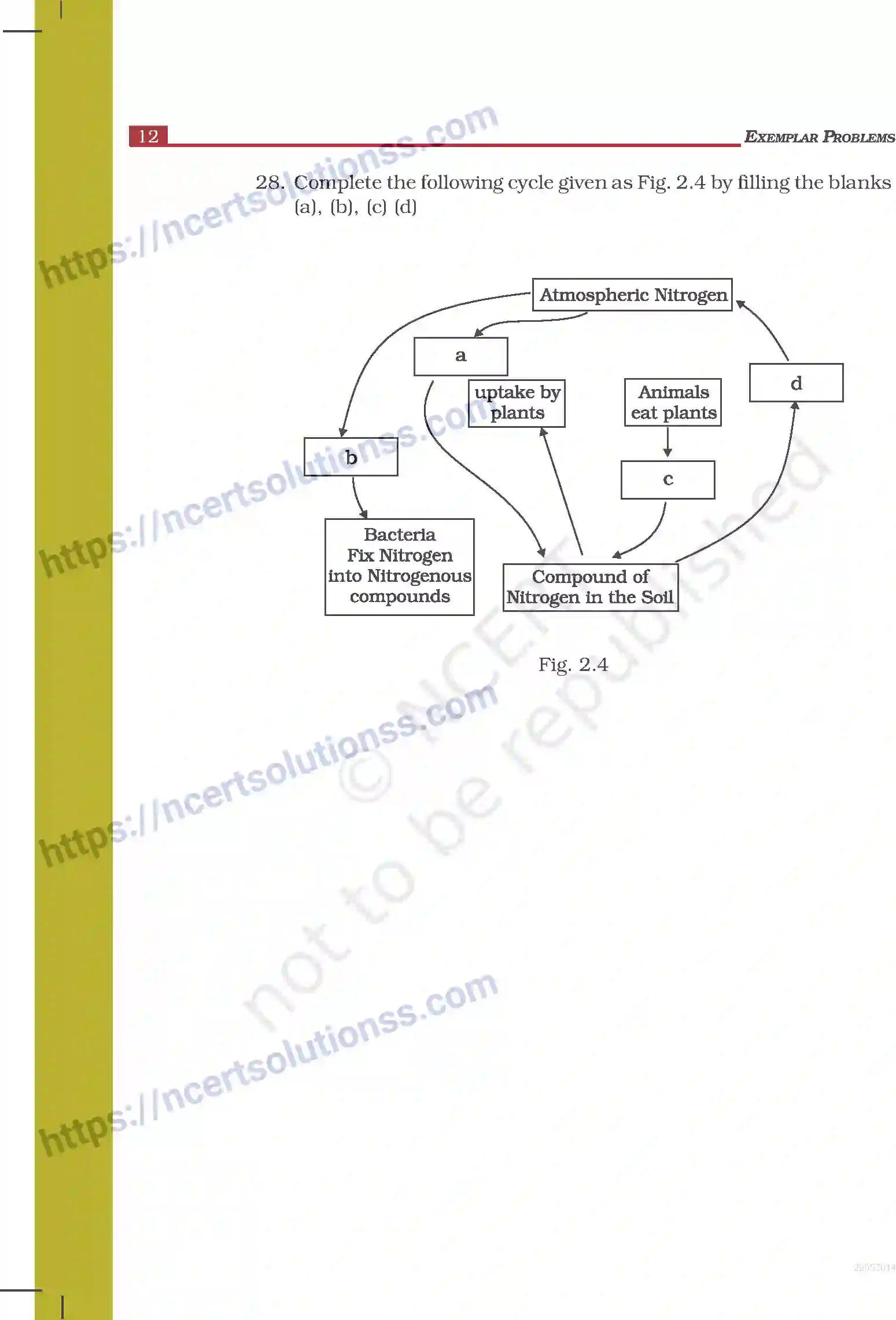 NCERT-Exemplar-Questions-Class-8-Science--Microorganisms--Friend-and-Foe-231-page-6