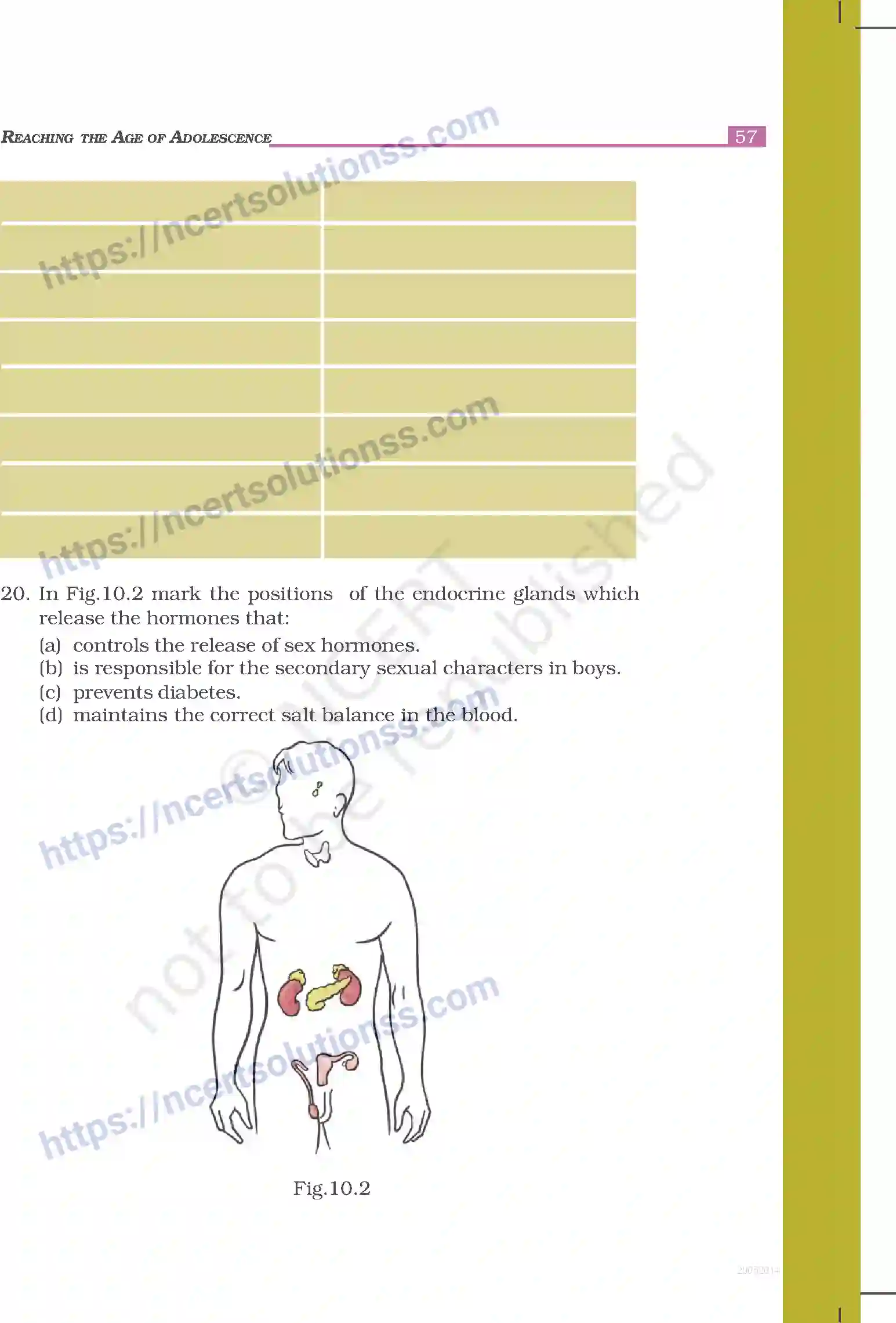 NCERT-Exemplar-Questions-Class-8-Science--Reaching-the-Age-of-Adolescence-239-page-5