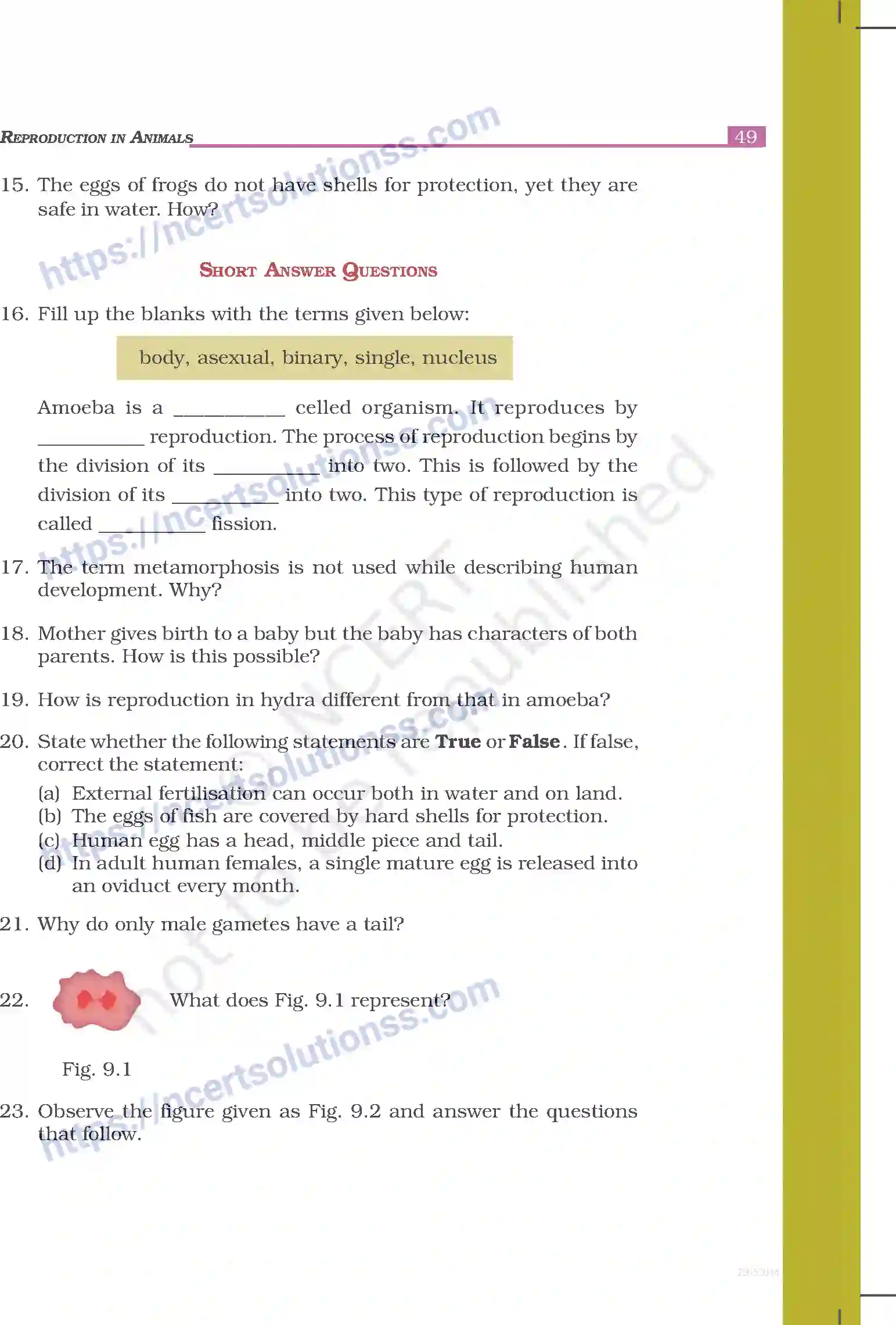 NCERT-Exemplar-Questions-Class-8-Science--Reproduction-in-Animals-238-page-3