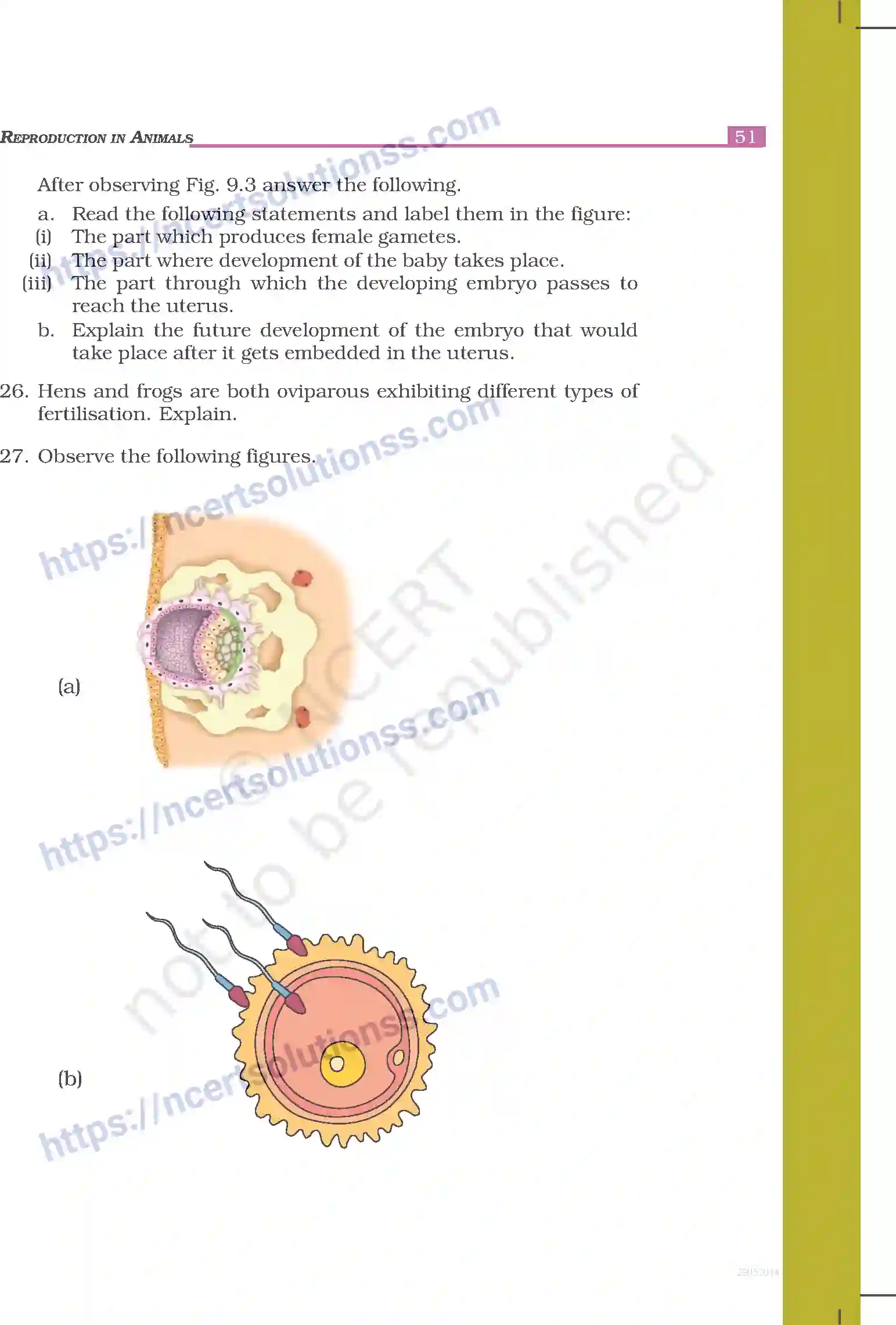 NCERT-Exemplar-Questions-Class-8-Science--Reproduction-in-Animals-238-page-5