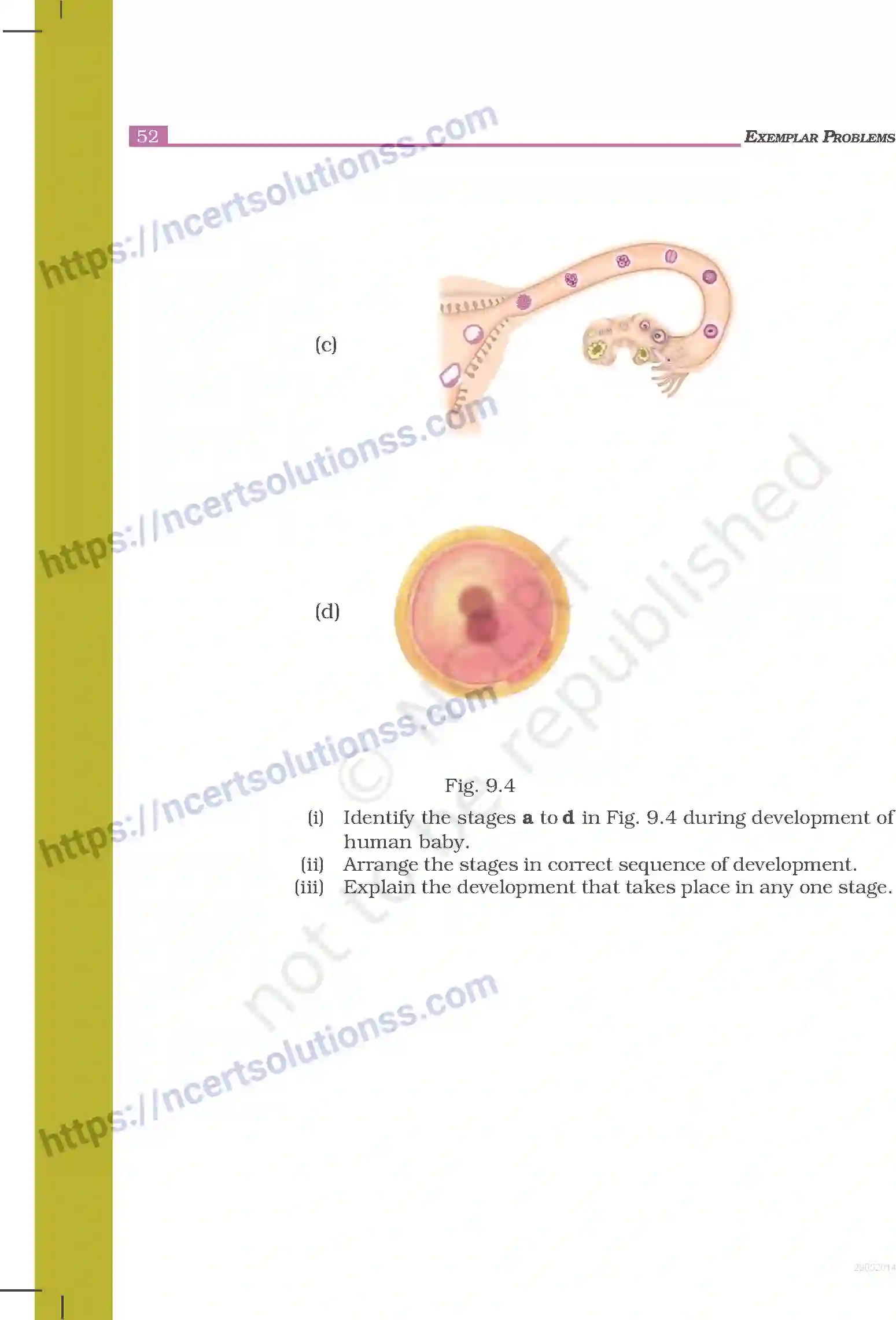 NCERT-Exemplar-Questions-Class-8-Science--Reproduction-in-Animals-238-page-6