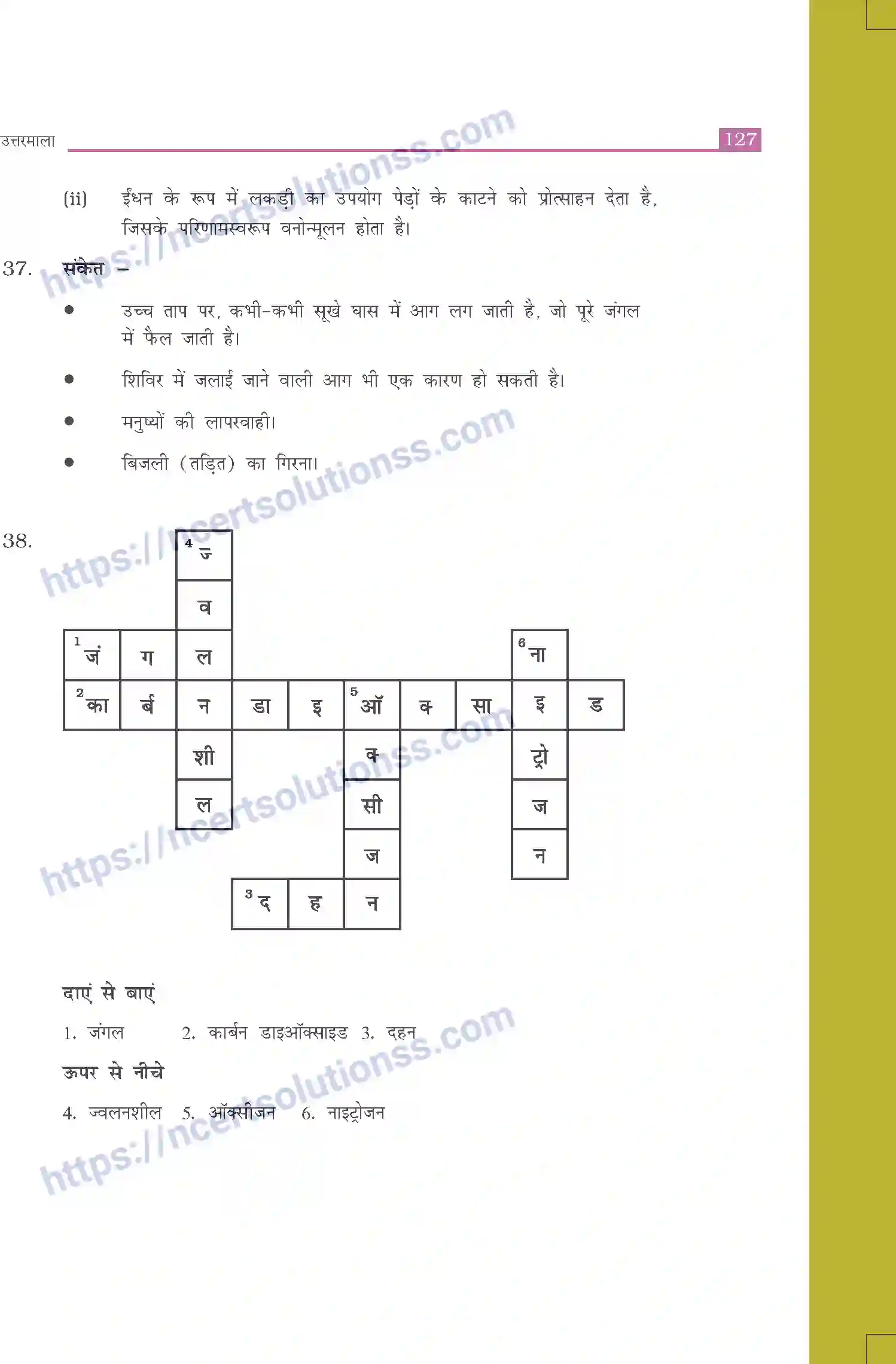 NCERT-Exemplar-Questions-Class-8-Science--उत्तरमाला-519-page-19