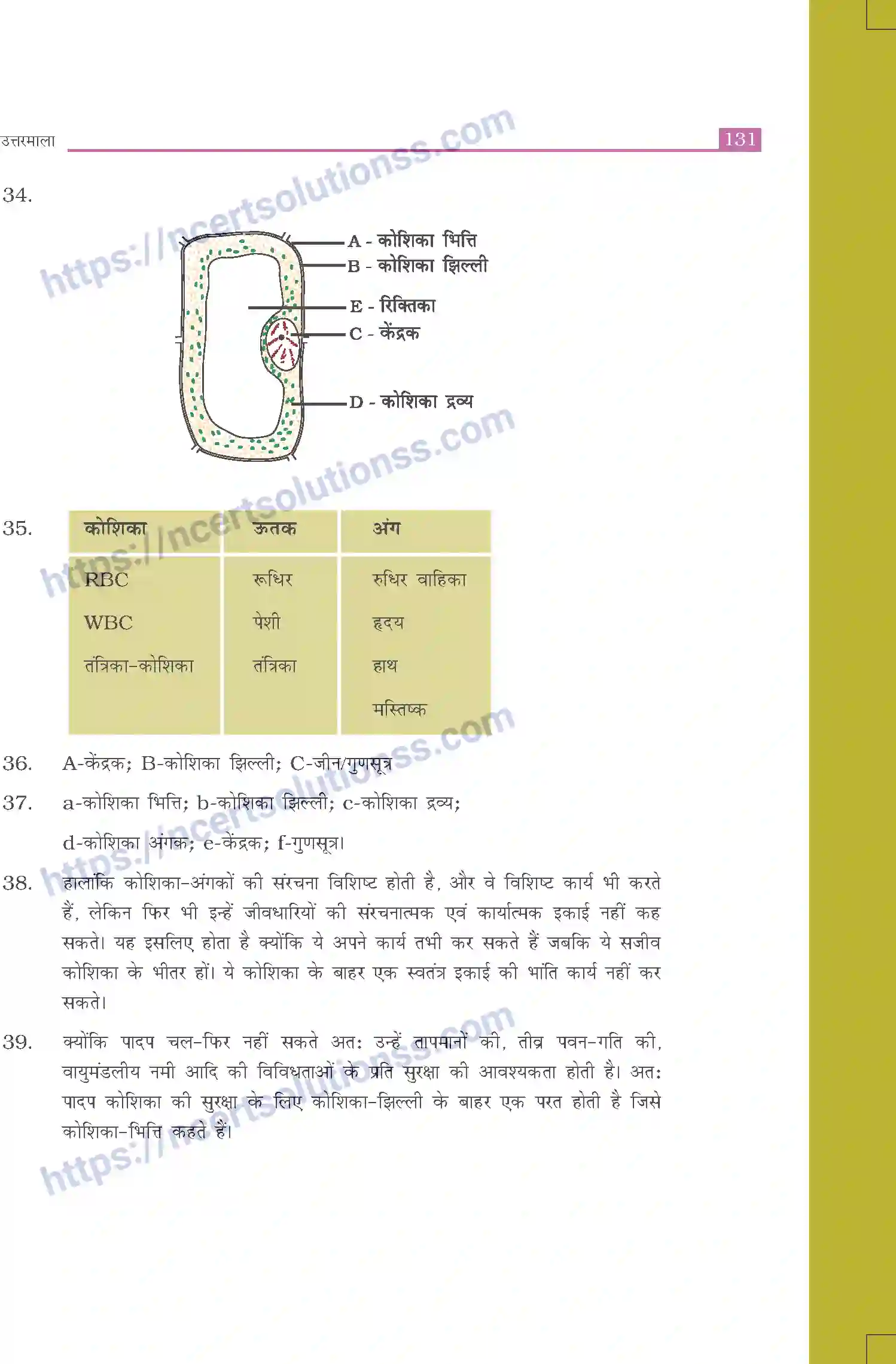 NCERT-Exemplar-Questions-Class-8-Science--उत्तरमाला-519-page-23