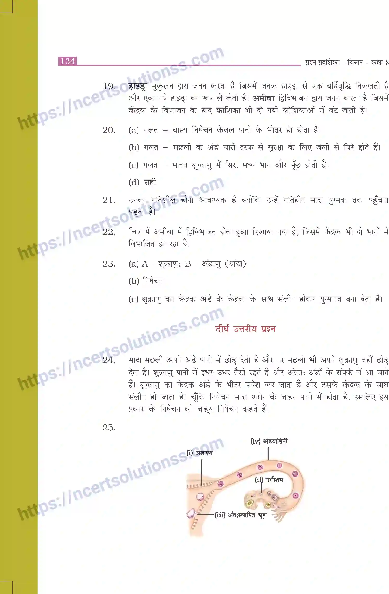 NCERT-Exemplar-Questions-Class-8-Science--उत्तरमाला-519-page-26