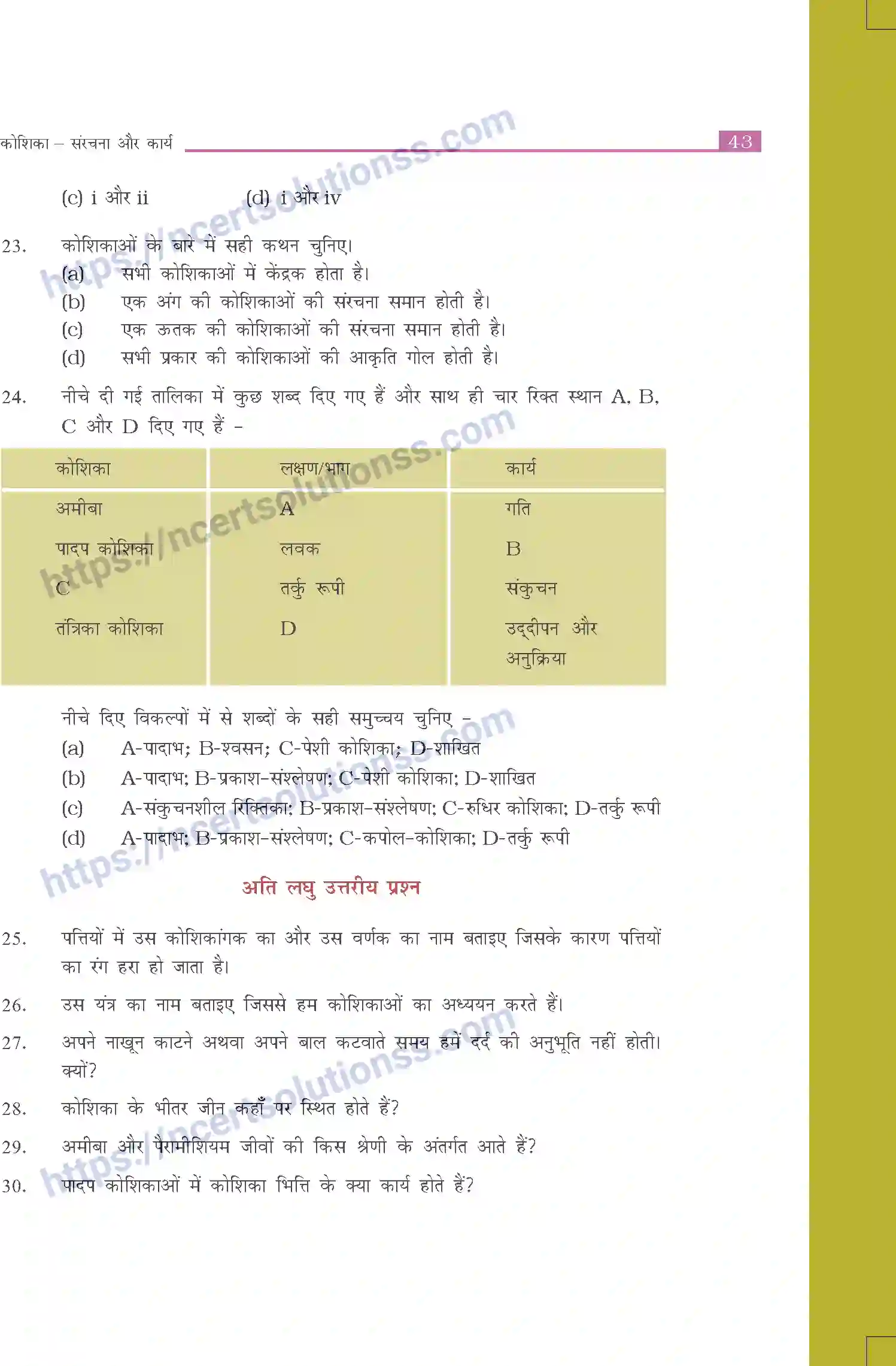 NCERT-Exemplar-Questions-Class-8-Science--कोशिका---संरचना-और-कार्य-508-page-4