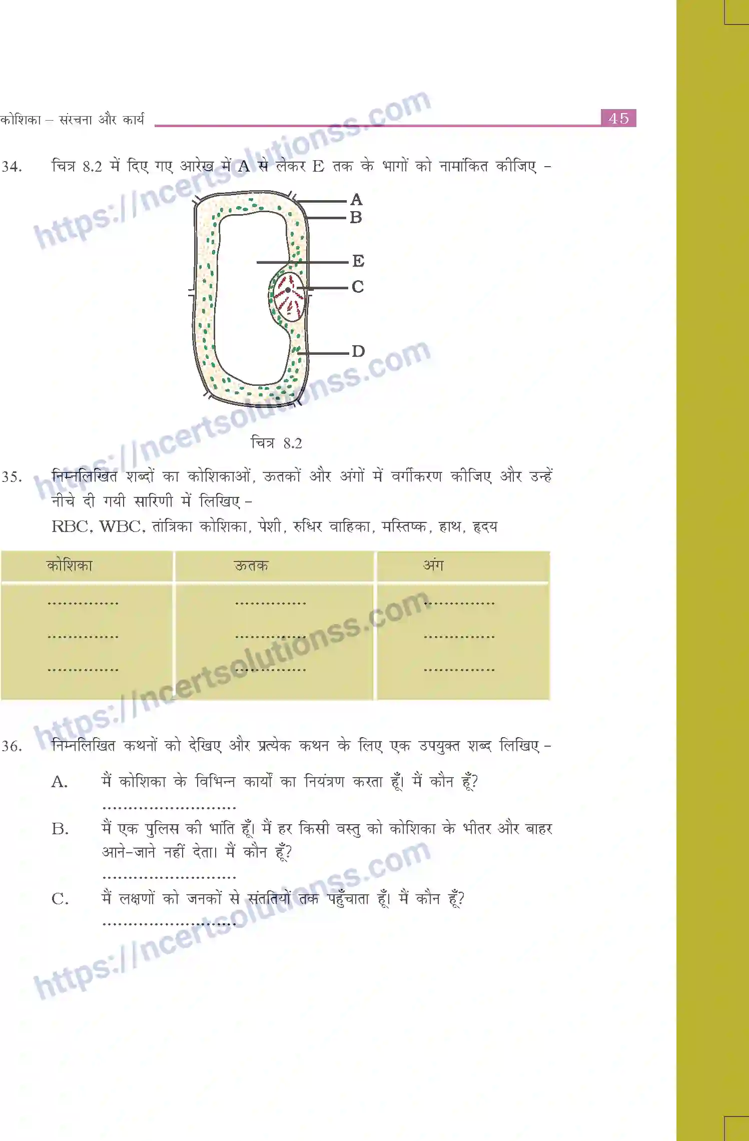 NCERT-Exemplar-Questions-Class-8-Science--कोशिका---संरचना-और-कार्य-508-page-6