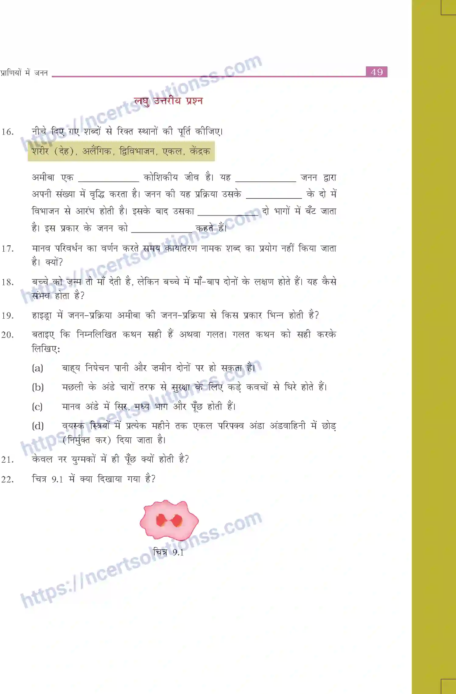 NCERT-Exemplar-Questions-Class-8-Science--प्राणियों-में-जनन-509-page-3