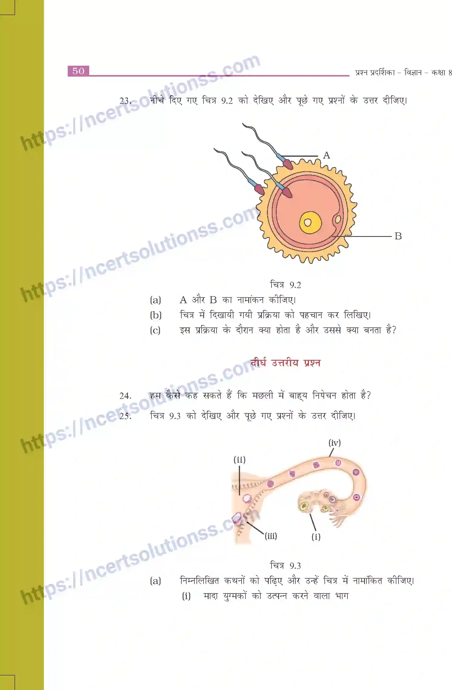NCERT-Exemplar-Questions-Class-8-Science--प्राणियों-में-जनन-509-page-4