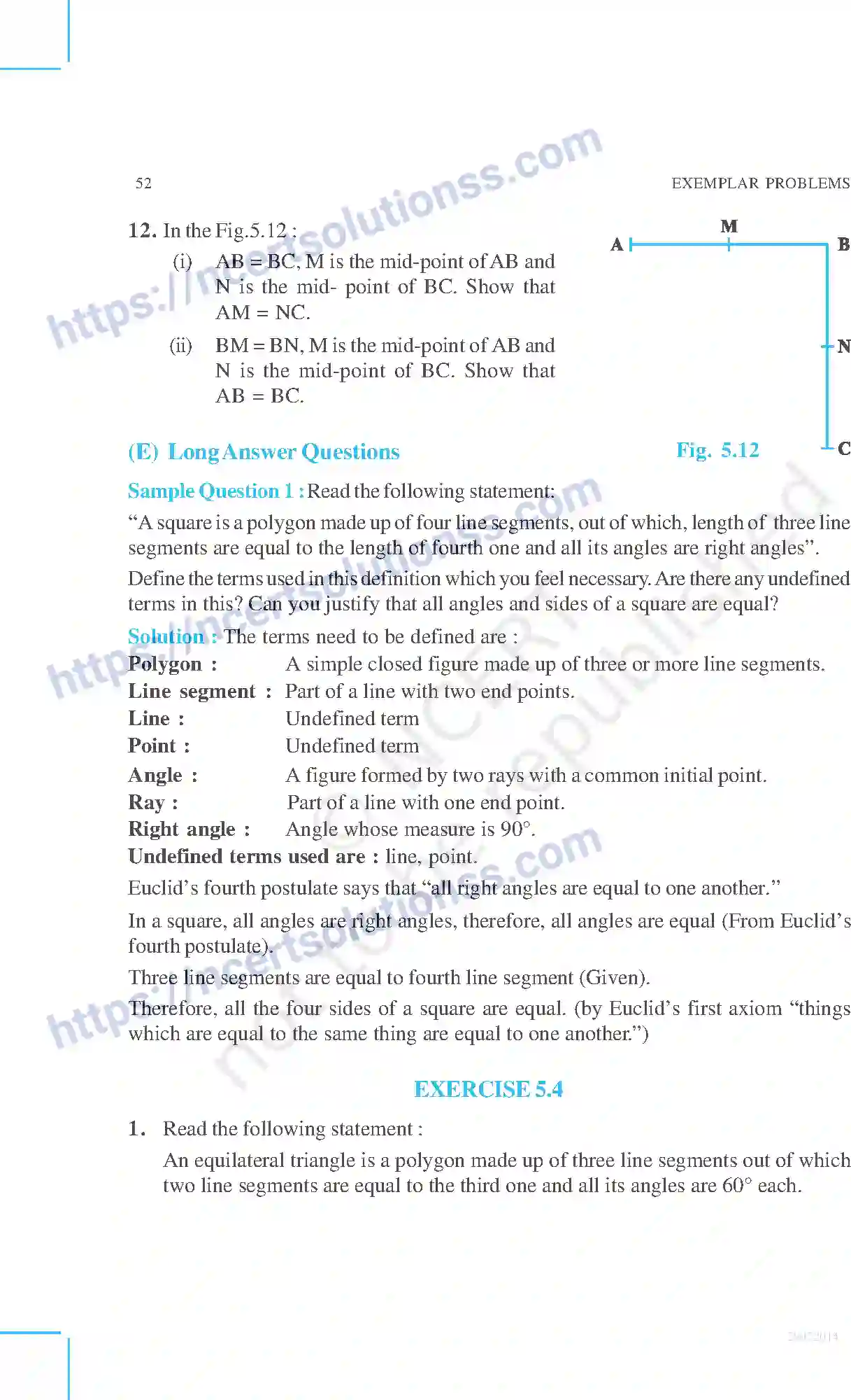 NCERT-Exemplar-Questions-Class-9-Mathematics--Introduction-To-Euclidandaposs-Geometry-185-page-10