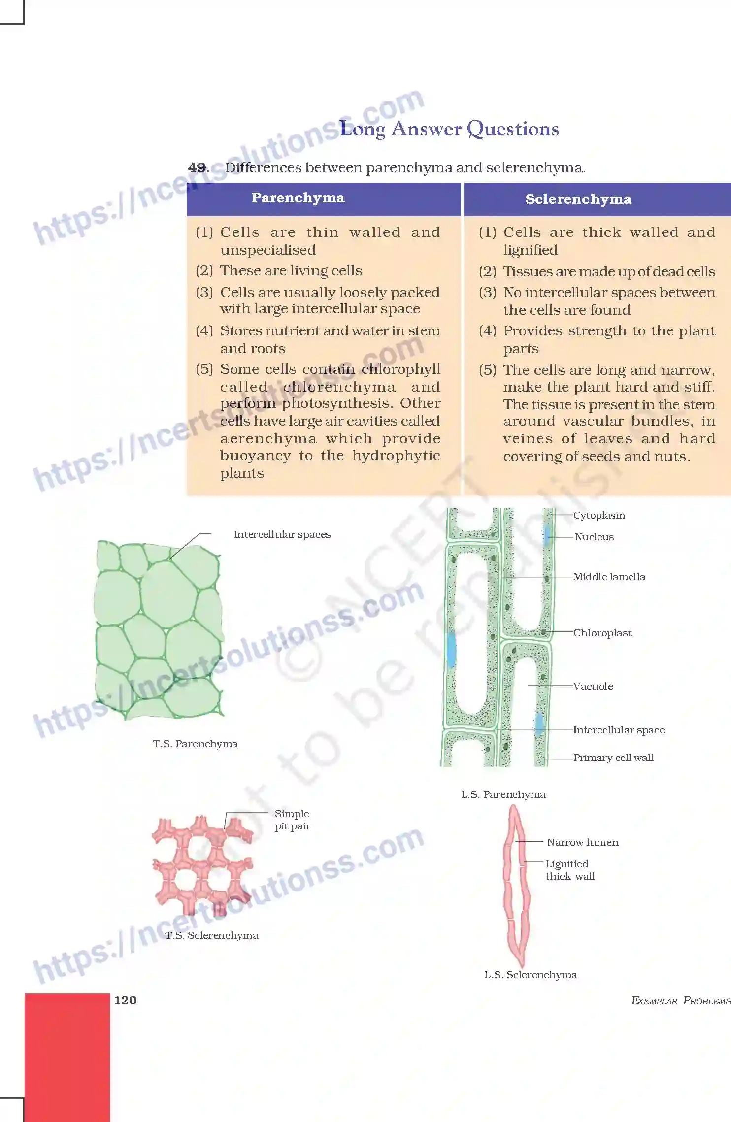 NCERT-Exemplar-Questions-Class-9-Science--Answers-215-page-28