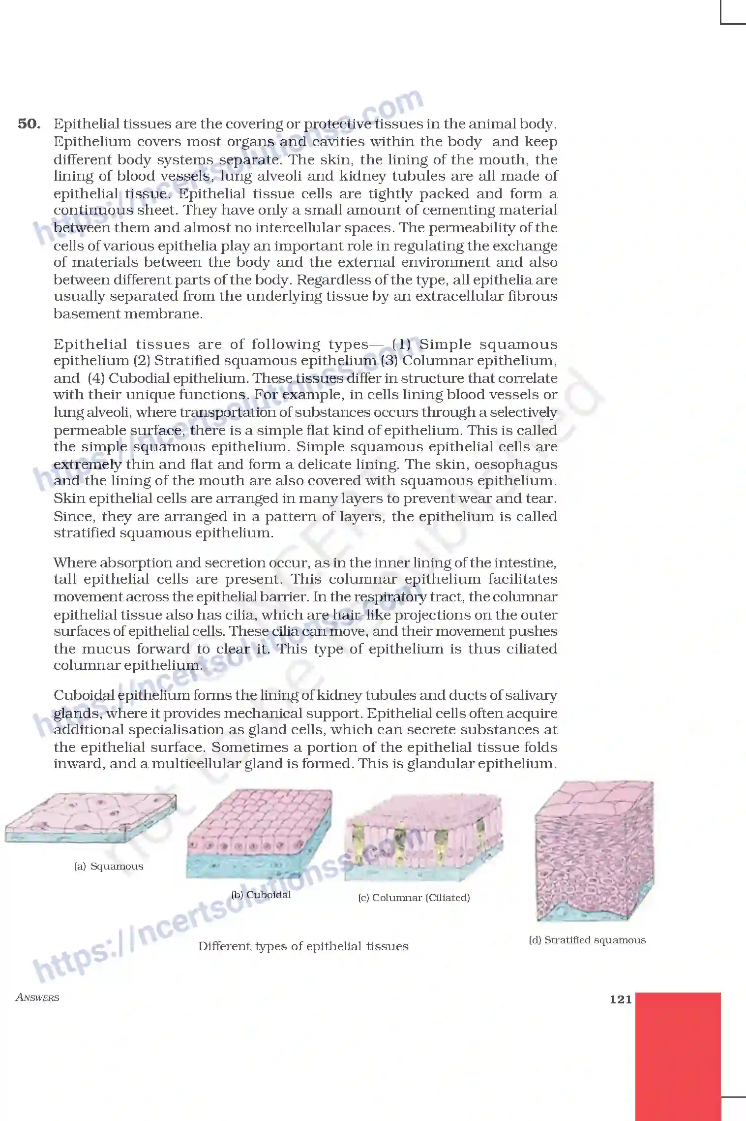 NCERT-Exemplar-Questions-Class-9-Science--Answers-215-page-29
