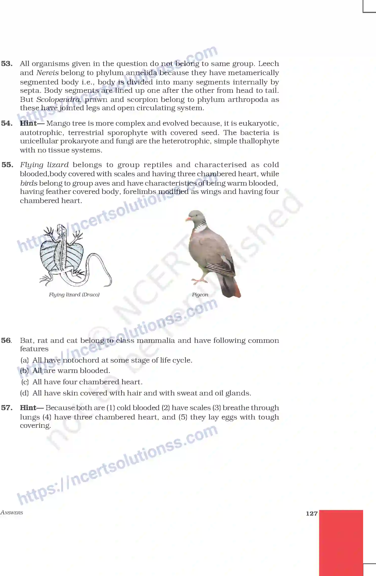 NCERT-Exemplar-Questions-Class-9-Science--Answers-215-page-35