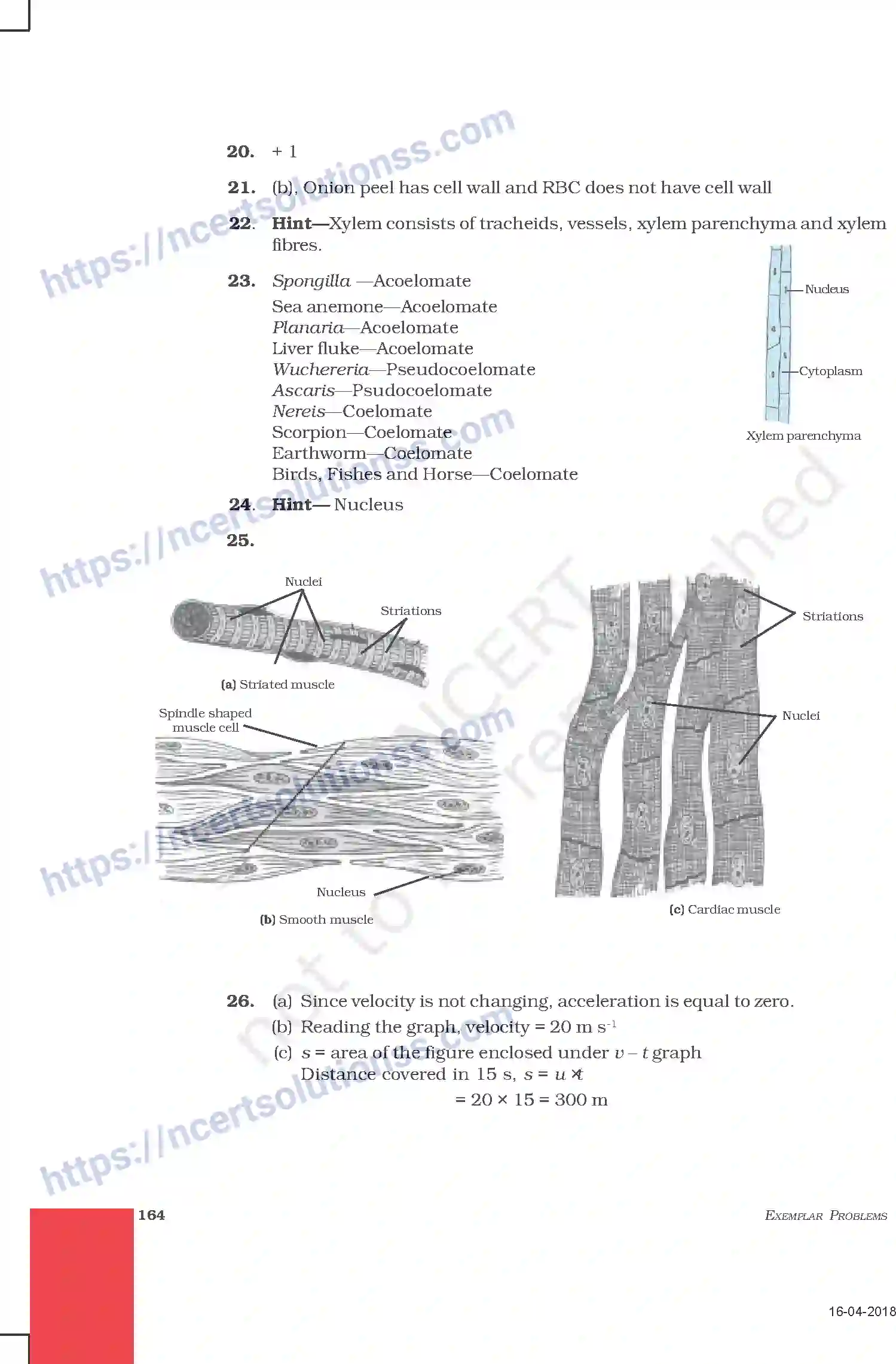NCERT-Exemplar-Questions-Class-9-Science--Sample-Question-Paper-I-213-page-9
