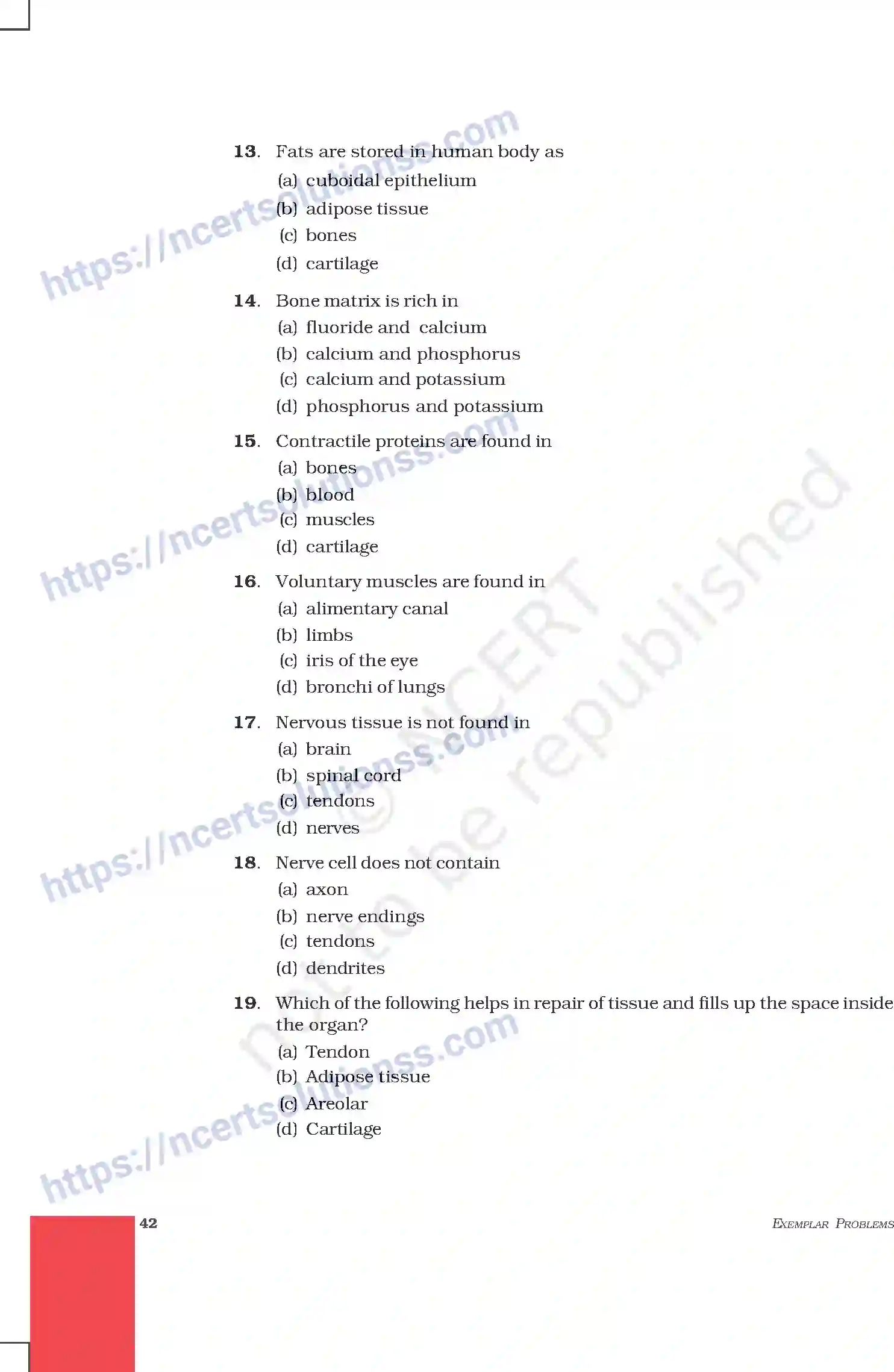 NCERT-Exemplar-Questions-Class-9-Science--Tissues-203-page-3