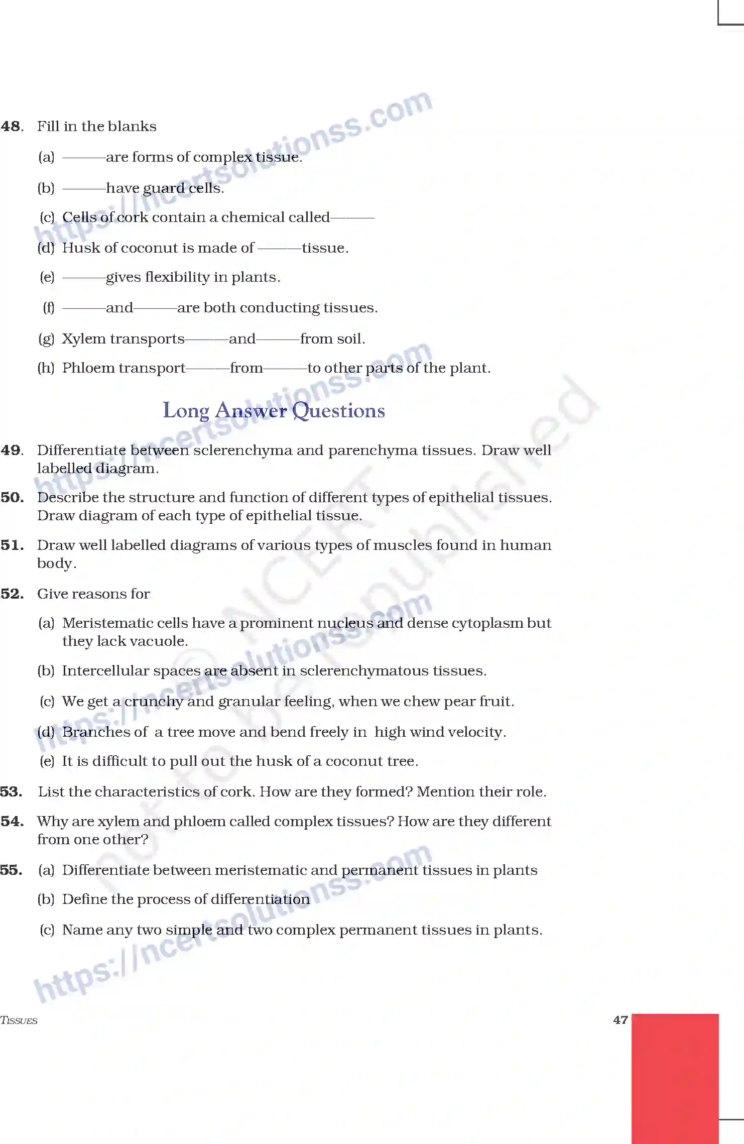 NCERT-Exemplar-Questions-Class-9-Science--Tissues-203-page-8