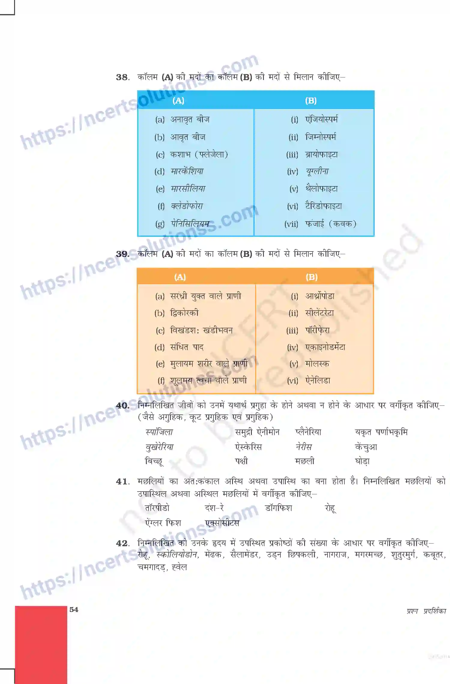 NCERT-Exemplar-Questions-Class-9-Science--जीवों-में-विविधता-478-page-7