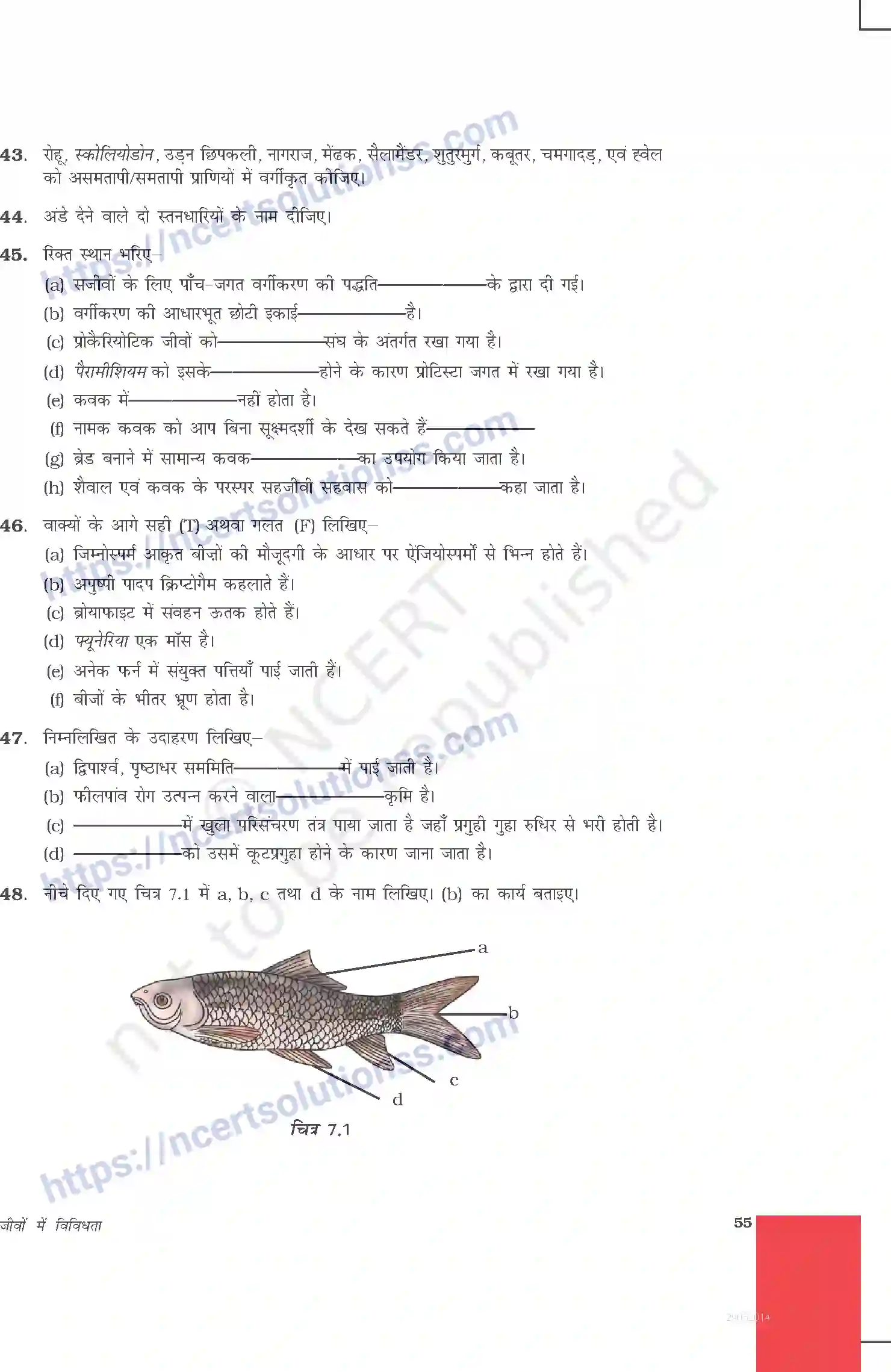 NCERT-Exemplar-Questions-Class-9-Science--जीवों-में-विविधता-478-page-8