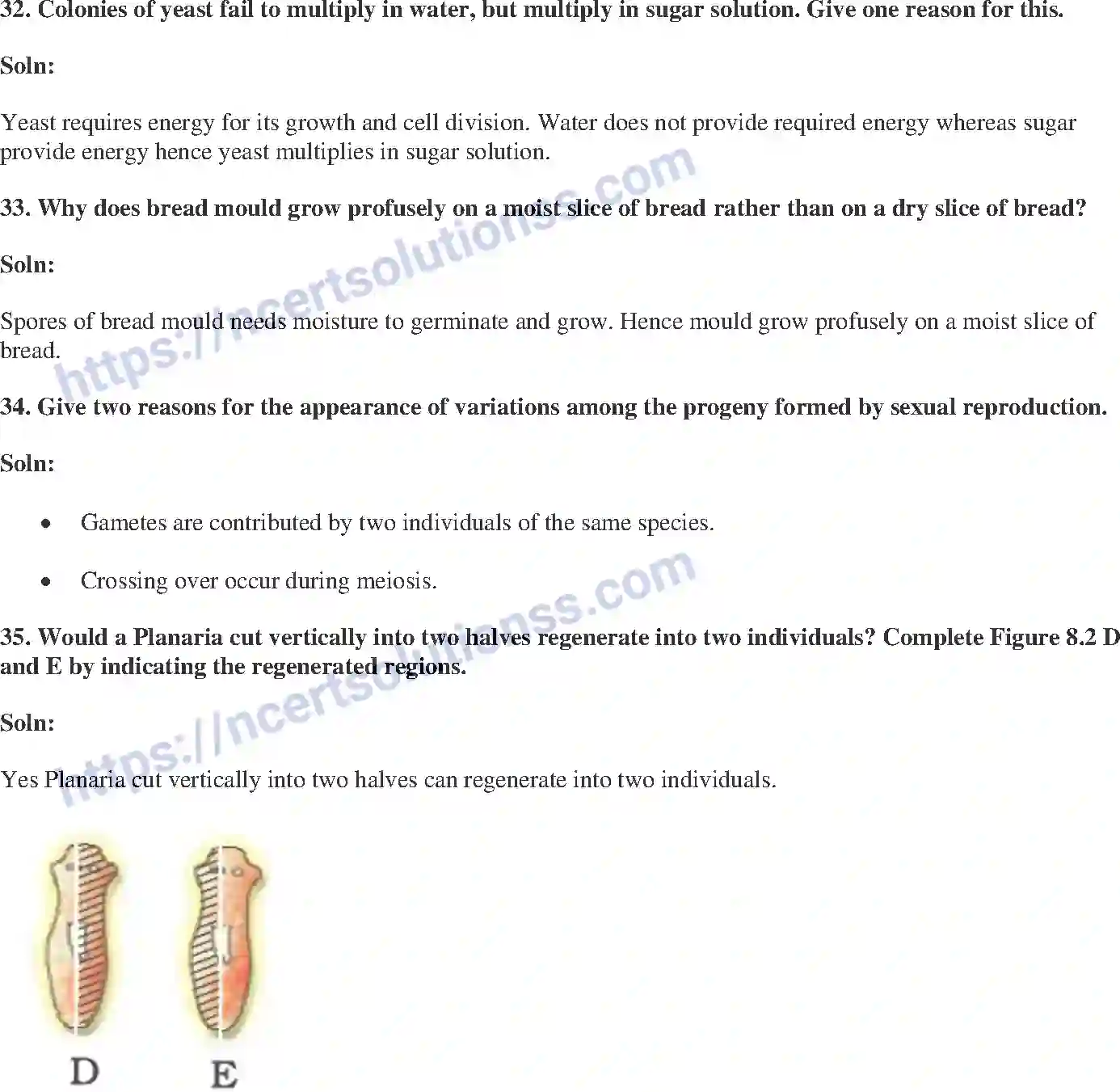 NCERT-Exemplar-Solution-Class-10-Science-How-do-Organisms-Reproduce-147-page-11