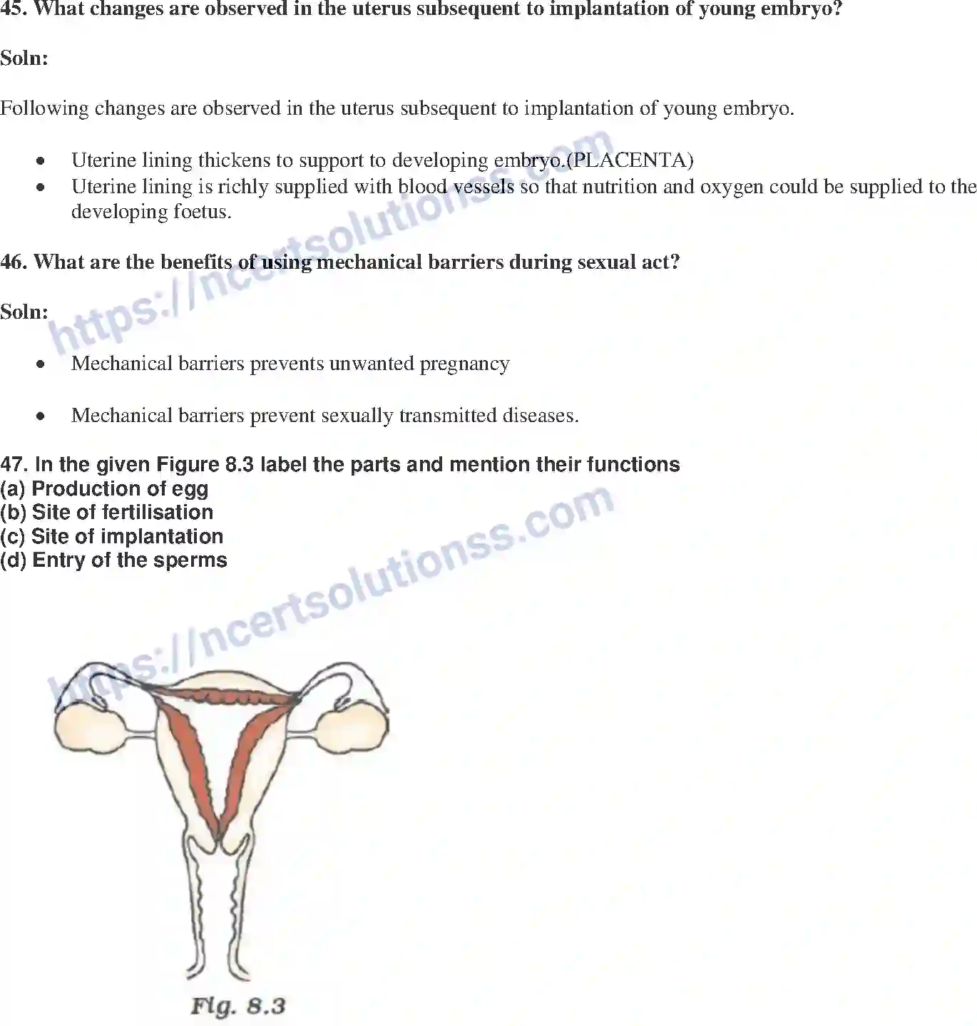 NCERT-Exemplar-Solution-Class-10-Science-How-do-Organisms-Reproduce-147-page-14