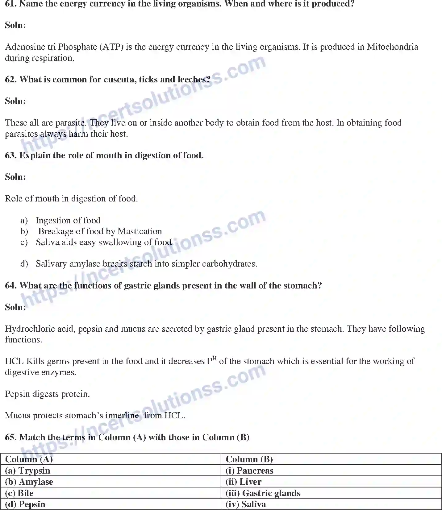 NCERT-Exemplar-Solution-Class-10-Science-Life-Processes-145-page-19