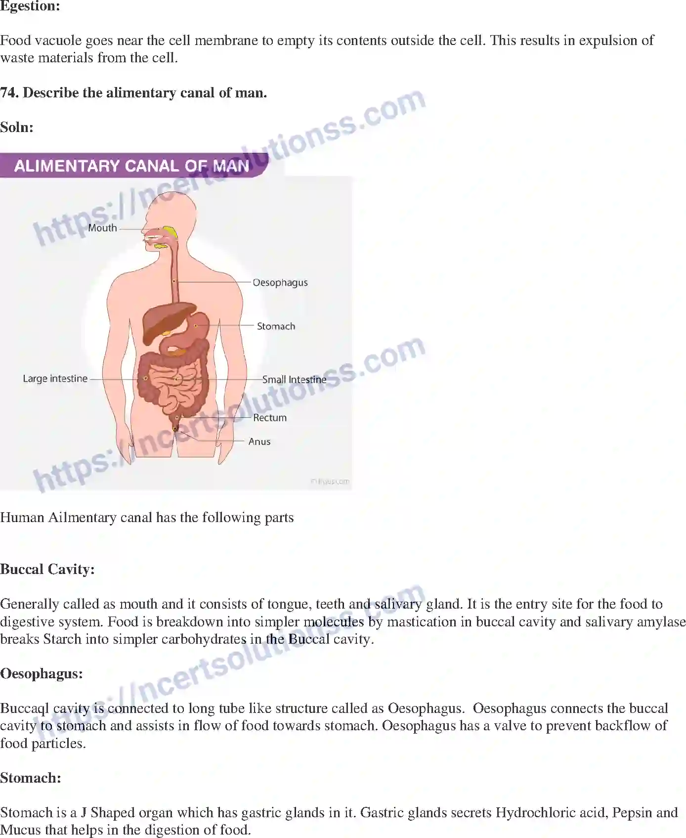 NCERT-Exemplar-Solution-Class-10-Science-Life-Processes-145-page-22