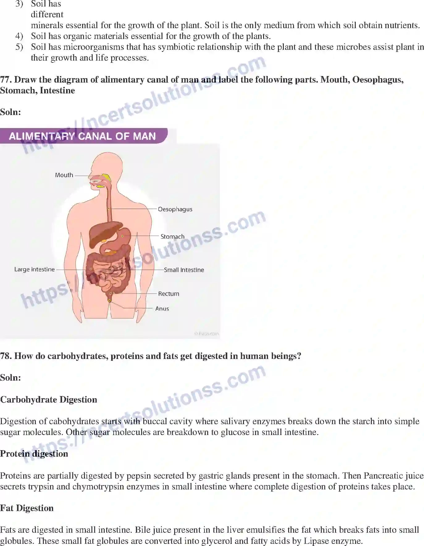 NCERT-Exemplar-Solution-Class-10-Science-Life-Processes-145-page-24
