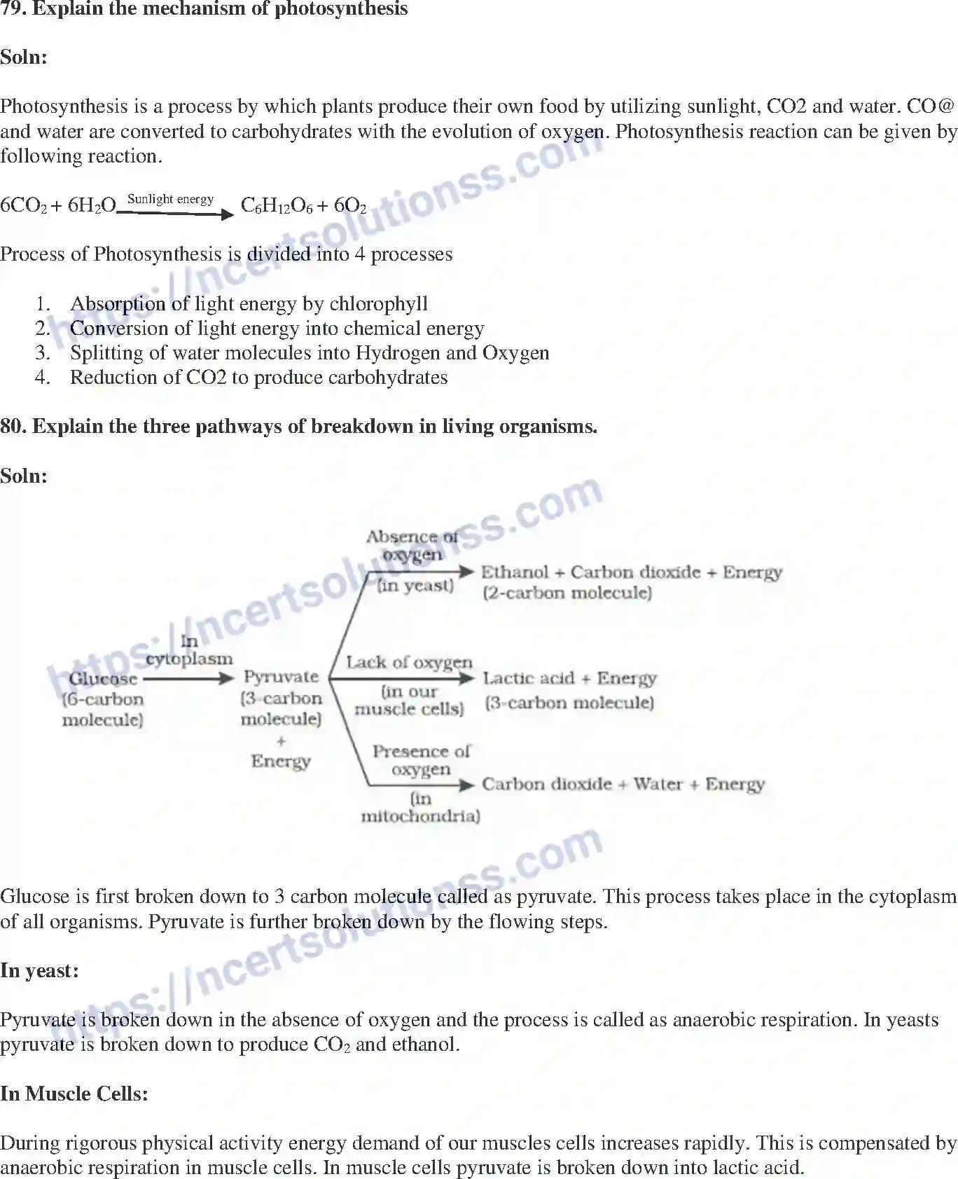 NCERT-Exemplar-Solution-Class-10-Science-Life-Processes-145-page-25