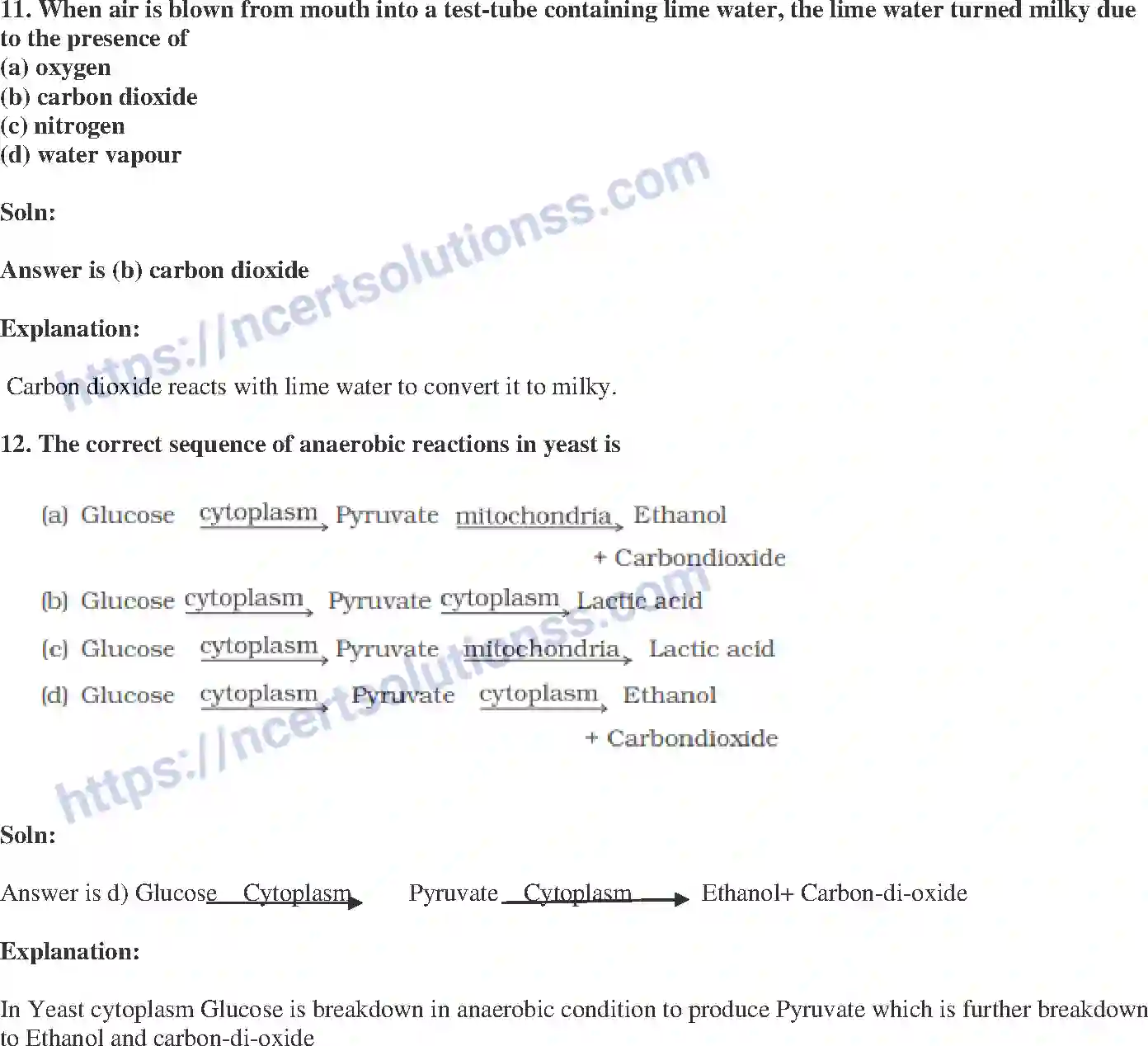 NCERT-Exemplar-Solution-Class-10-Science-Life-Processes-145-page-4