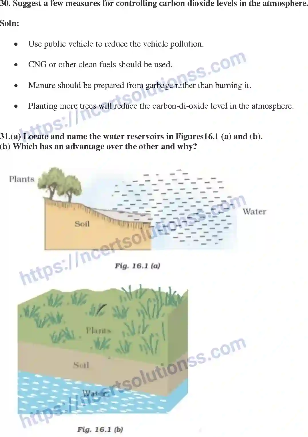 NCERT-Exemplar-Solution-Class-10-Science-Management-of-Natural-Resources-155-page-10