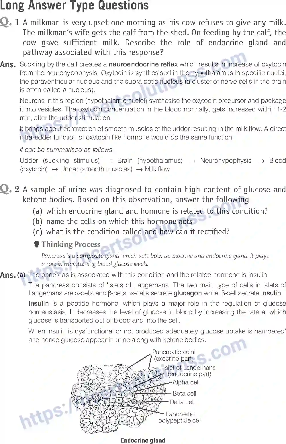 NCERT-Exemplar-Solution-Class-11-Biology-Chemical-Coordination-And-Integration-98-page-12