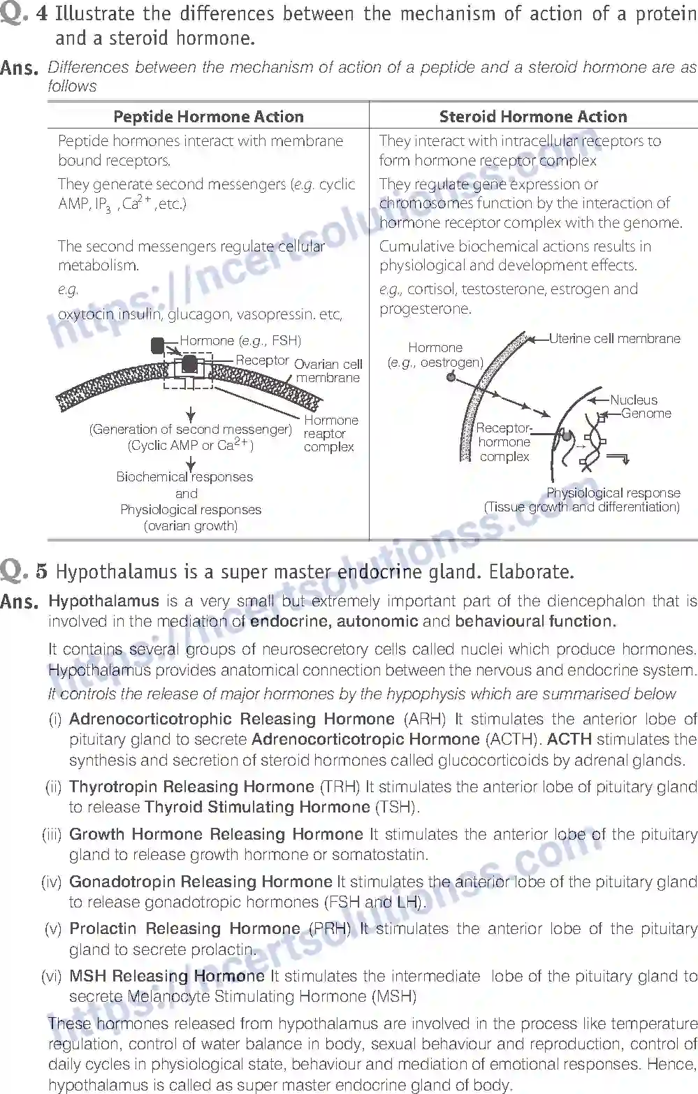 NCERT-Exemplar-Solution-Class-11-Biology-Chemical-Coordination-And-Integration-98-page-14