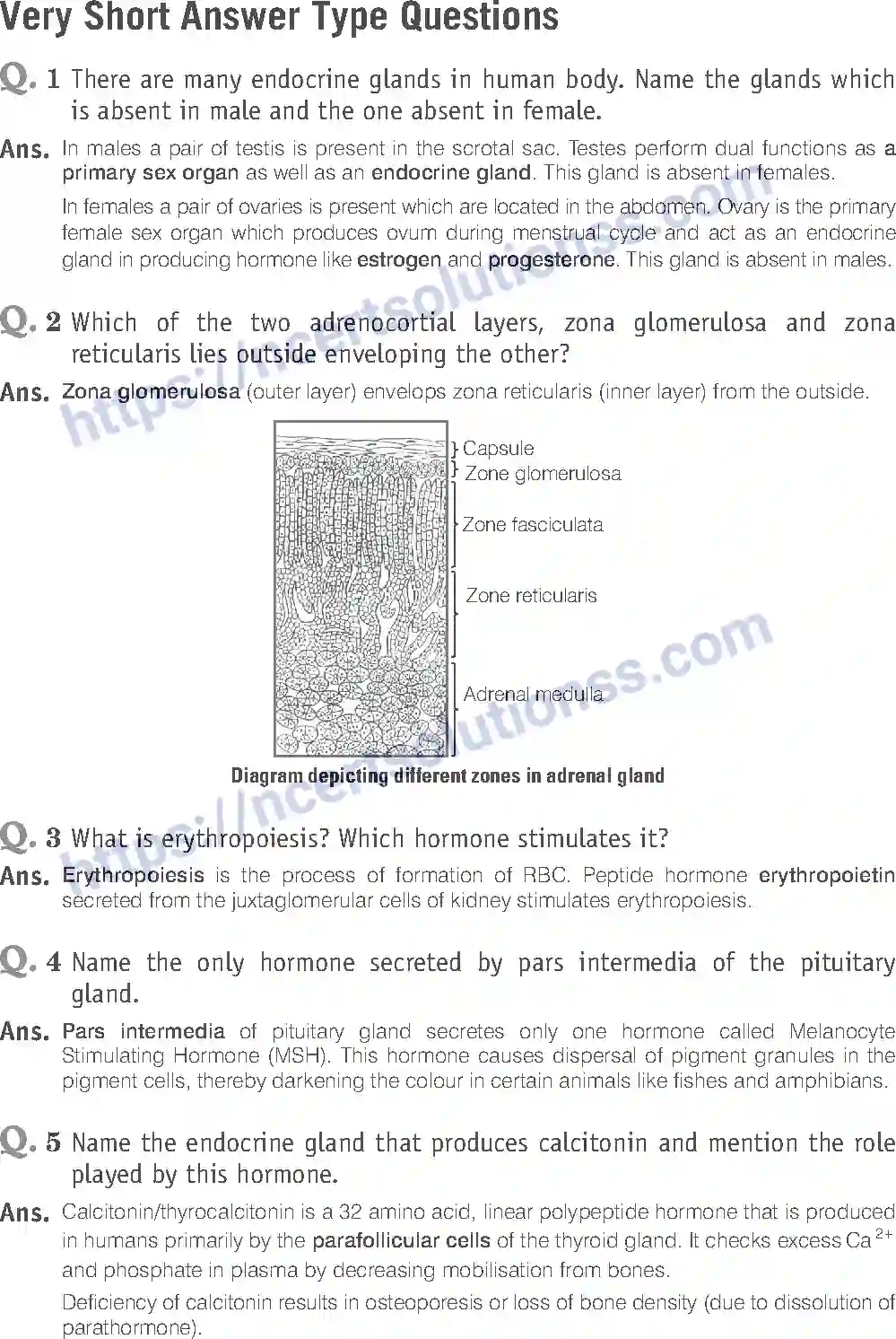 NCERT-Exemplar-Solution-Class-11-Biology-Chemical-Coordination-And-Integration-98-page-6