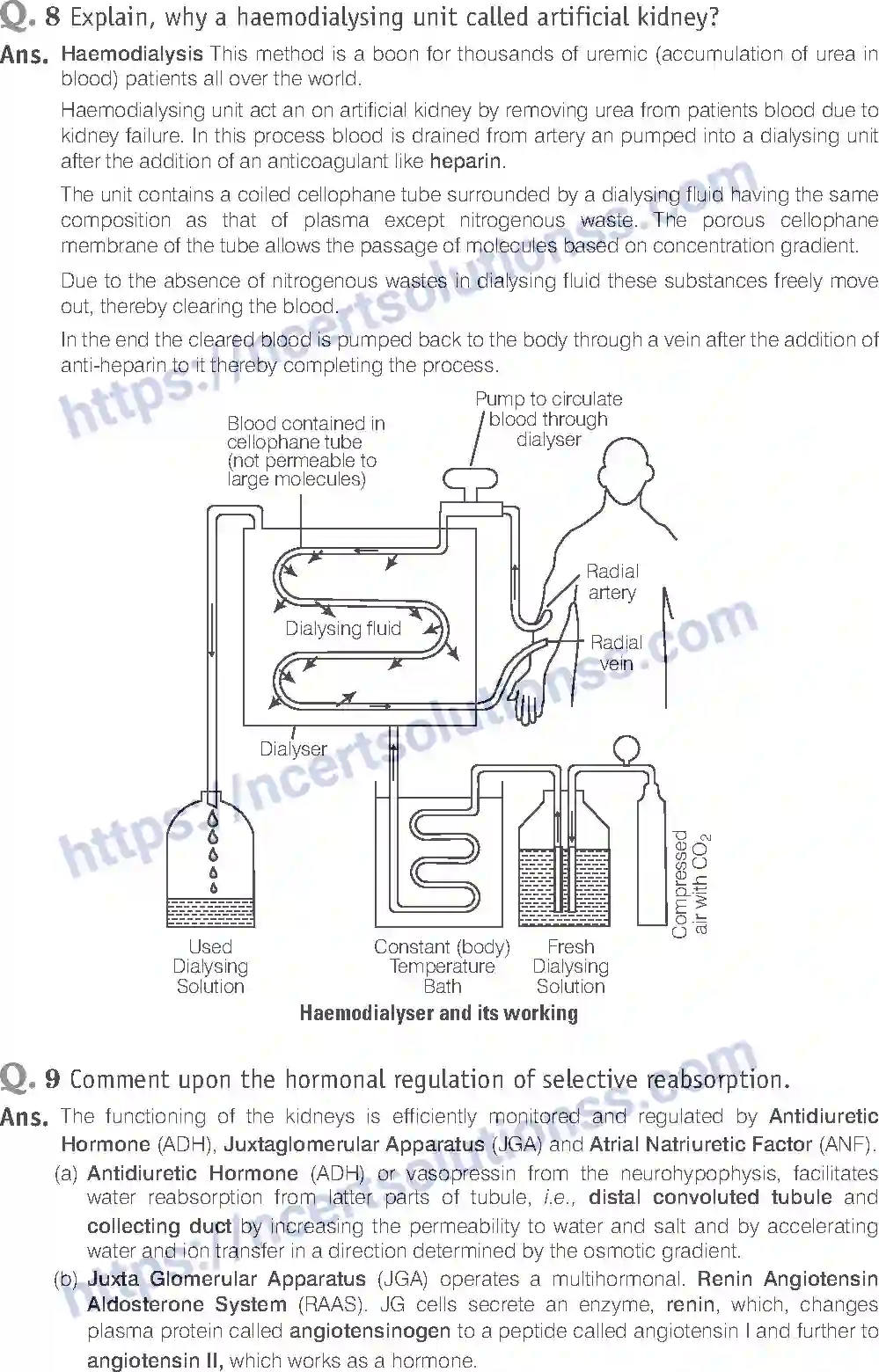 NCERT-Exemplar-Solution-Class-11-Biology-Excretory-Products-And-Their-Elimination-95-page-12