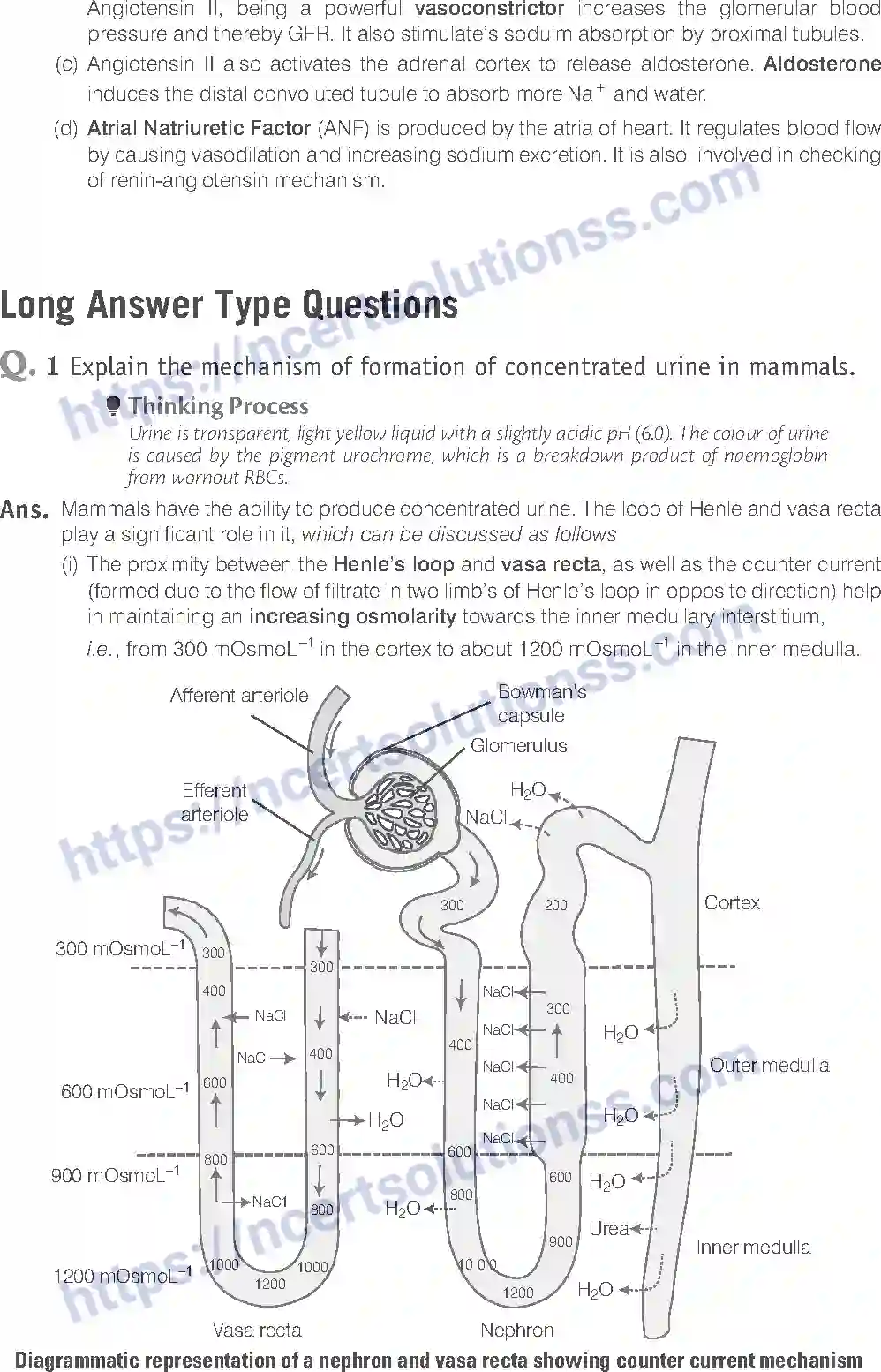 NCERT-Exemplar-Solution-Class-11-Biology-Excretory-Products-And-Their-Elimination-95-page-13