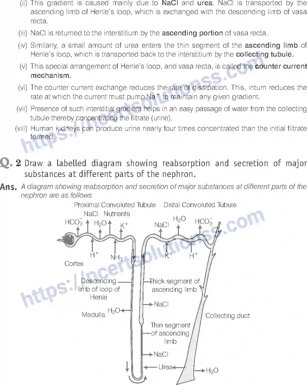 NCERT-Exemplar-Solution-Class-11-Biology-Excretory-Products-And-Their-Elimination-95-page-14