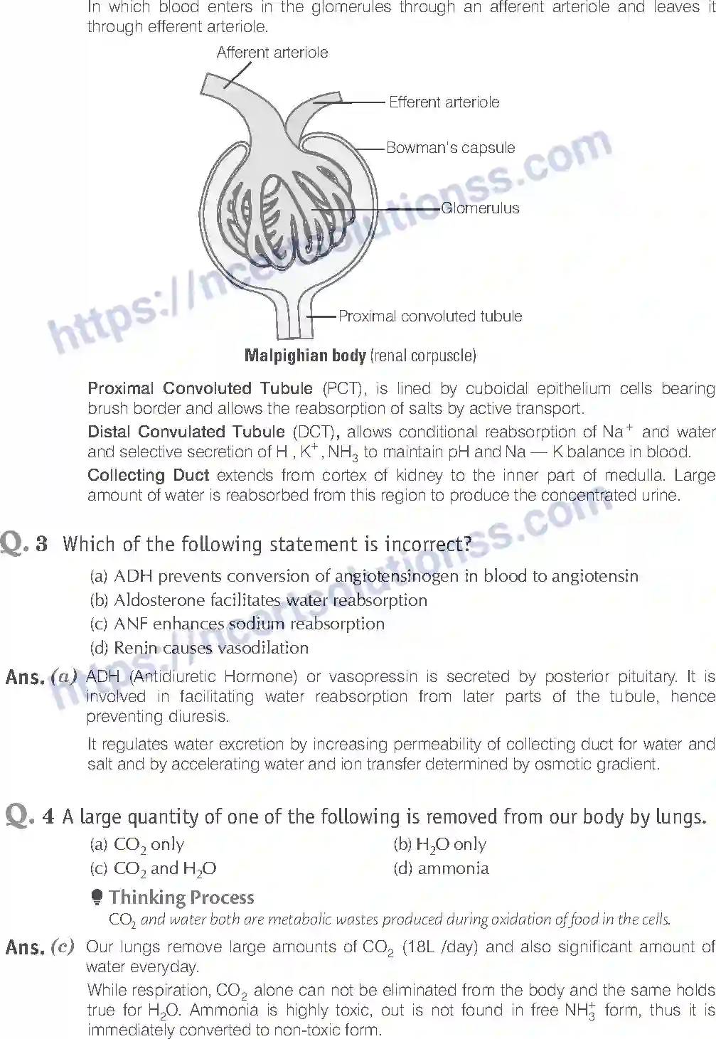 NCERT-Exemplar-Solution-Class-11-Biology-Excretory-Products-And-Their-Elimination-95-page-2