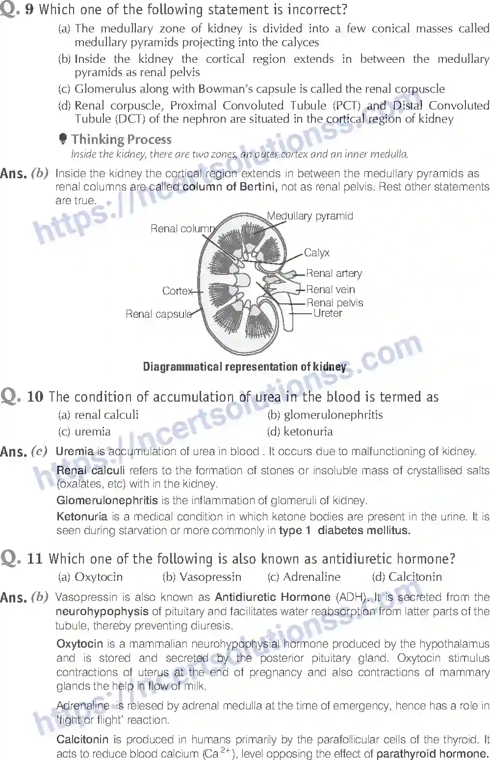 NCERT-Exemplar-Solution-Class-11-Biology-Excretory-Products-And-Their-Elimination-95-page-4