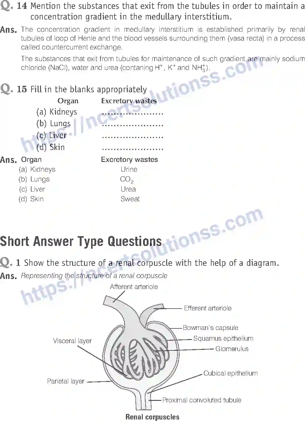 NCERT-Exemplar-Solution-Class-11-Biology-Excretory-Products-And-Their-Elimination-95-page-9