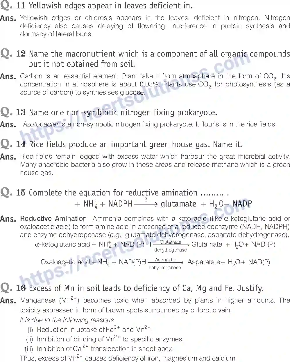 NCERT-Exemplar-Solution-Class-11-Biology-Mineral-Nutrition-88-page-6