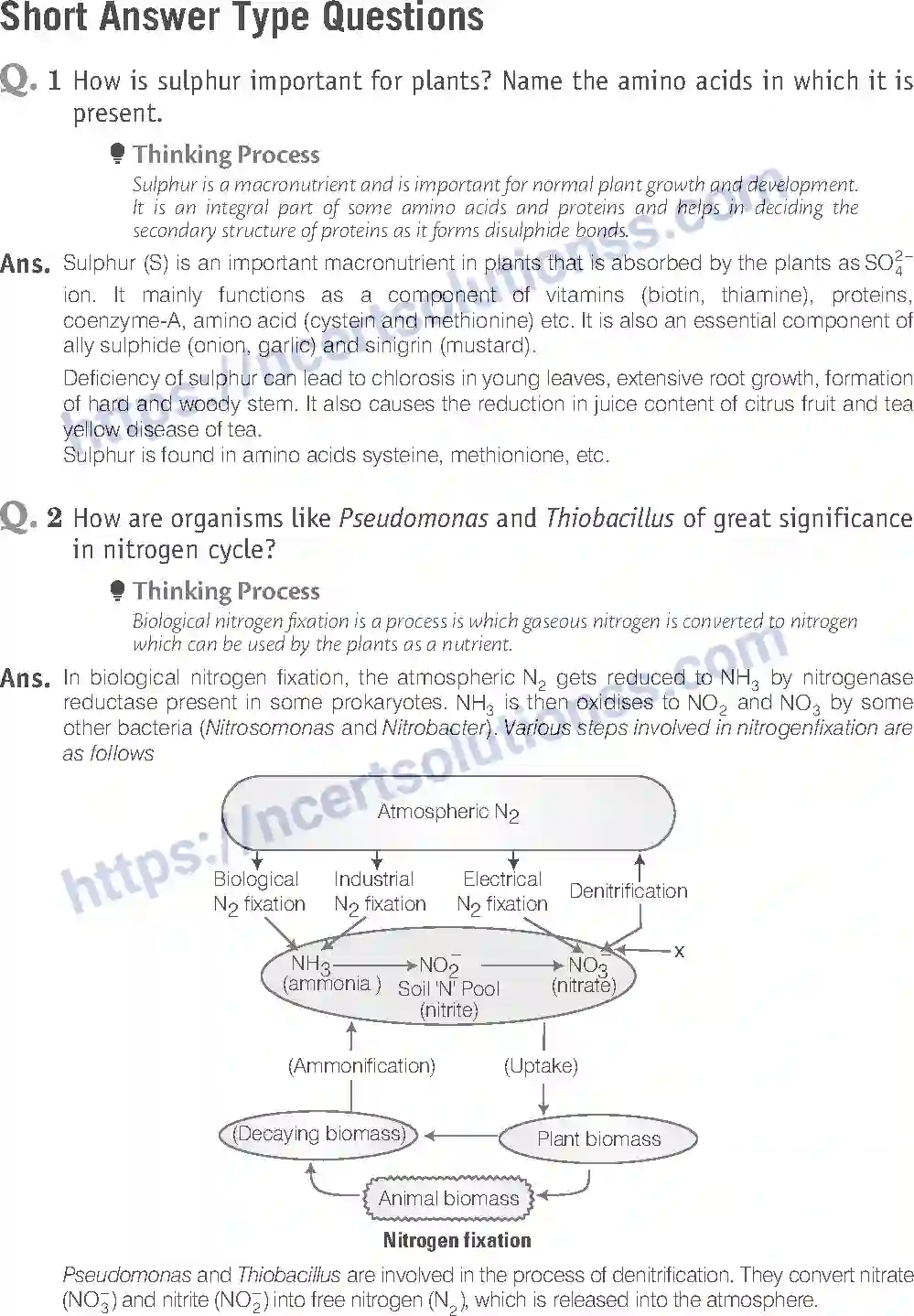 NCERT-Exemplar-Solution-Class-11-Biology-Mineral-Nutrition-88-page-7