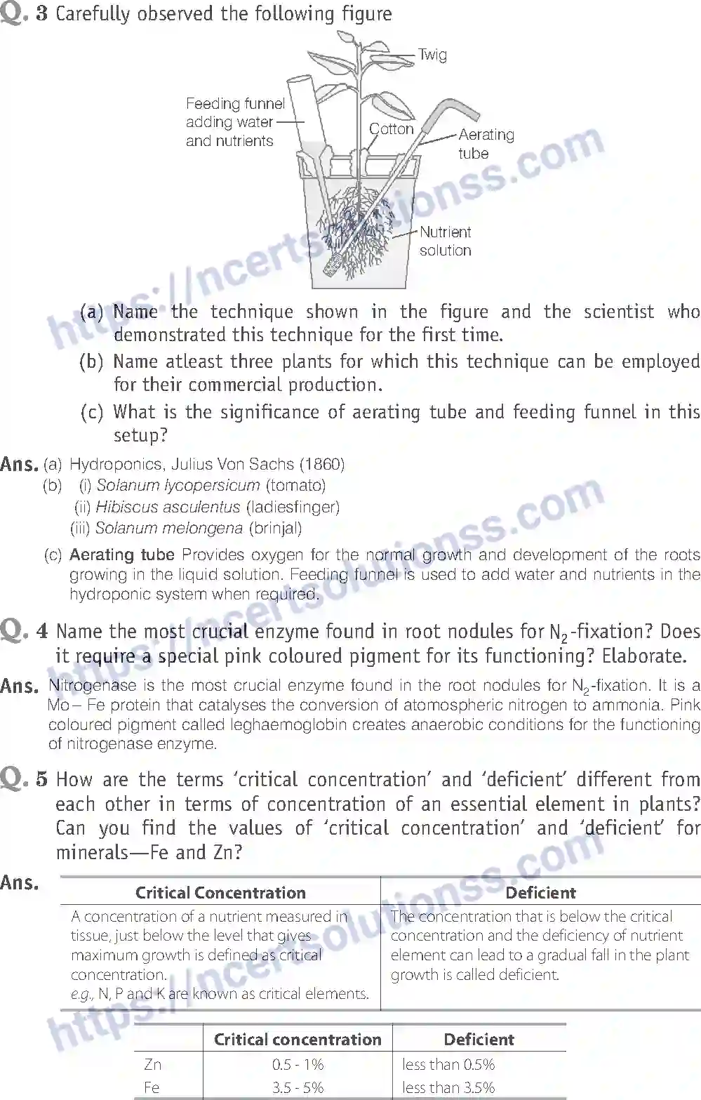 NCERT-Exemplar-Solution-Class-11-Biology-Mineral-Nutrition-88-page-8