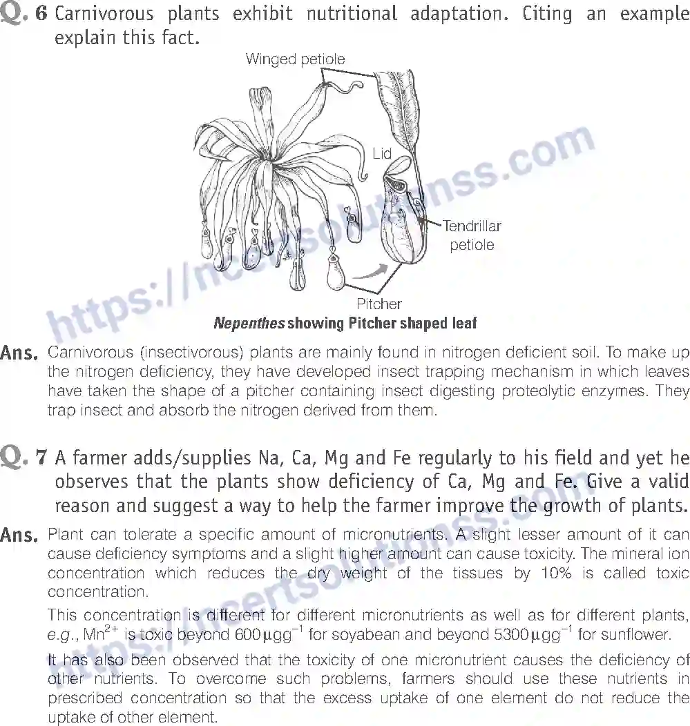 NCERT-Exemplar-Solution-Class-11-Biology-Mineral-Nutrition-88-page-9