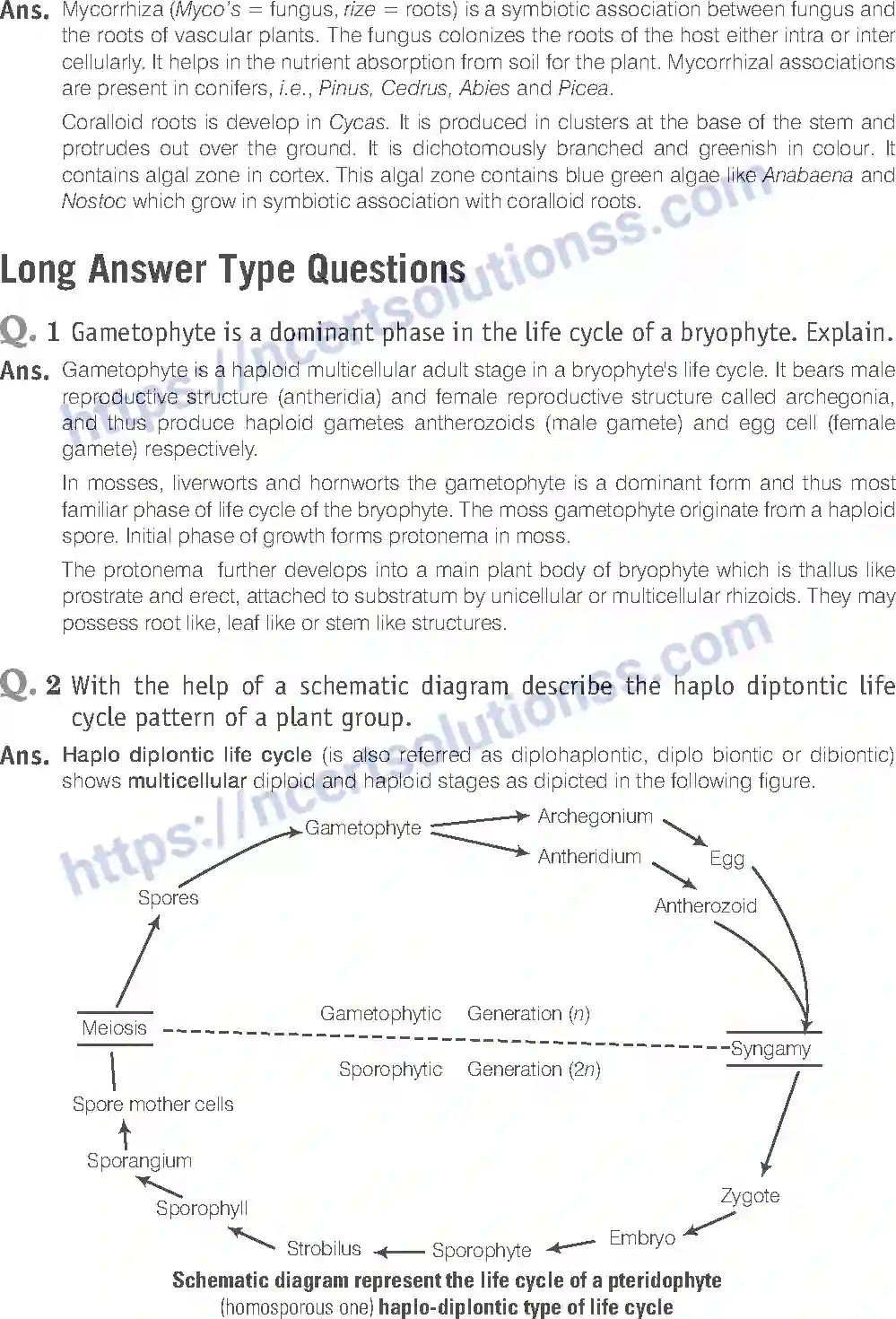NCERT-Exemplar-Solution-Class-11-Biology-Plant-Kingdom-79-page-10