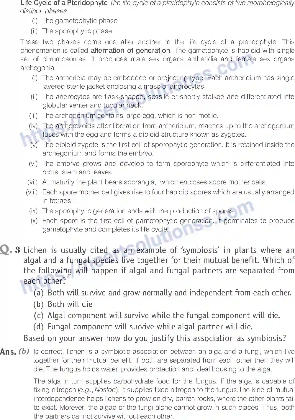 NCERT-Exemplar-Solution-Class-11-Biology-Plant-Kingdom-79-page-11