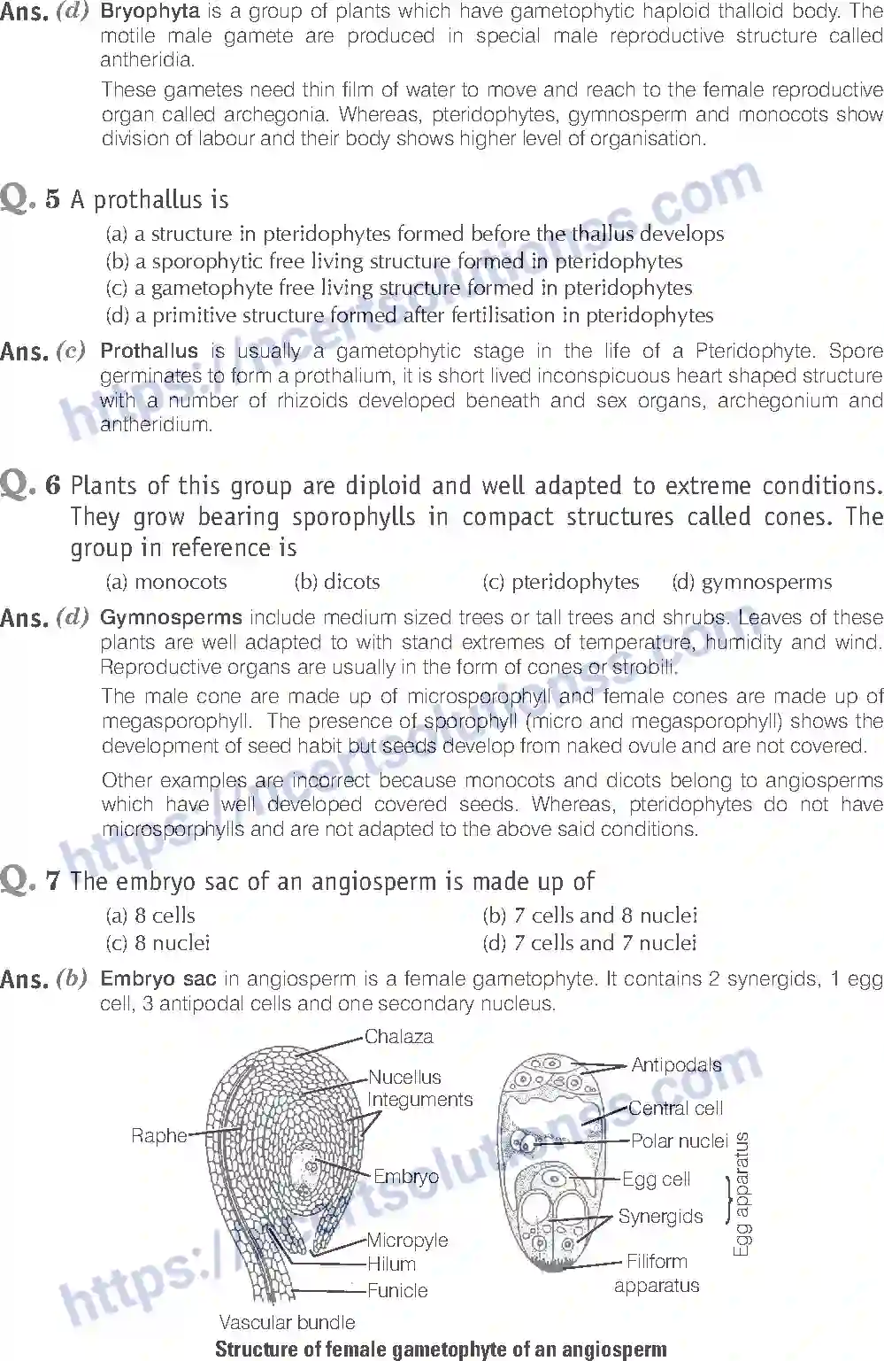 NCERT-Exemplar-Solution-Class-11-Biology-Plant-Kingdom-79-page-2