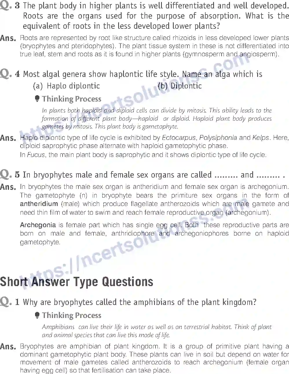 NCERT-Exemplar-Solution-Class-11-Biology-Plant-Kingdom-79-page-5