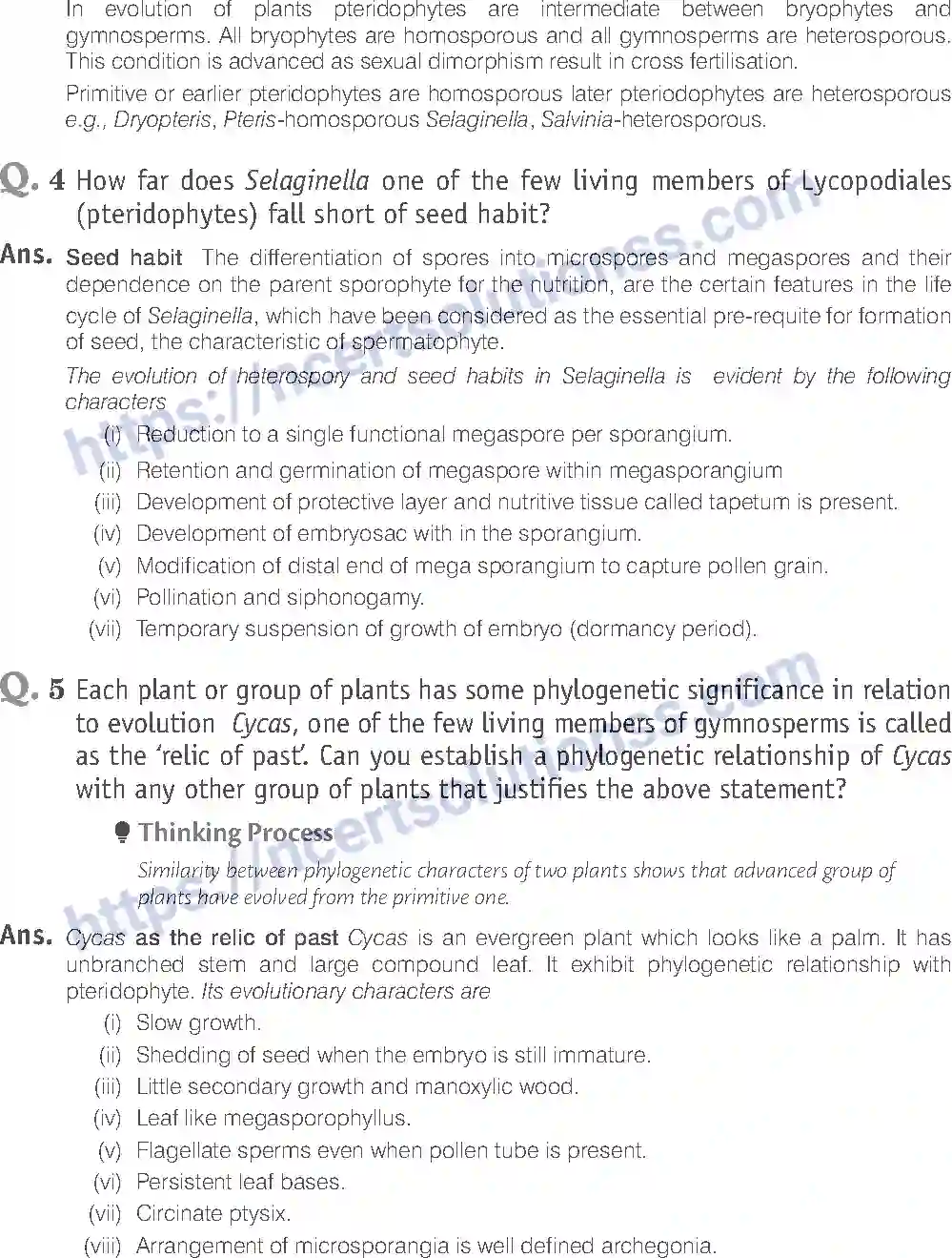NCERT-Exemplar-Solution-Class-11-Biology-Plant-Kingdom-79-page-7